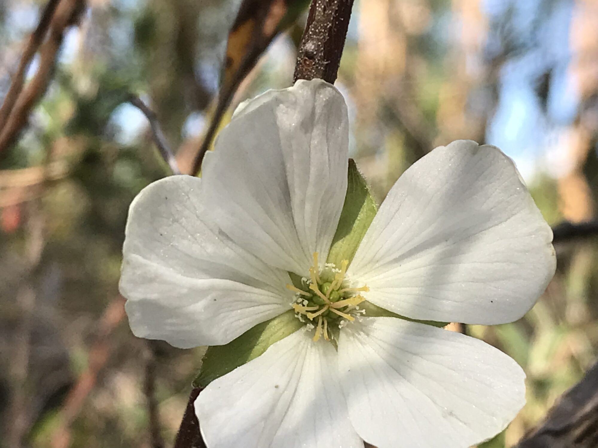 Valokuvaaja: Liisa Niiva-Korpela