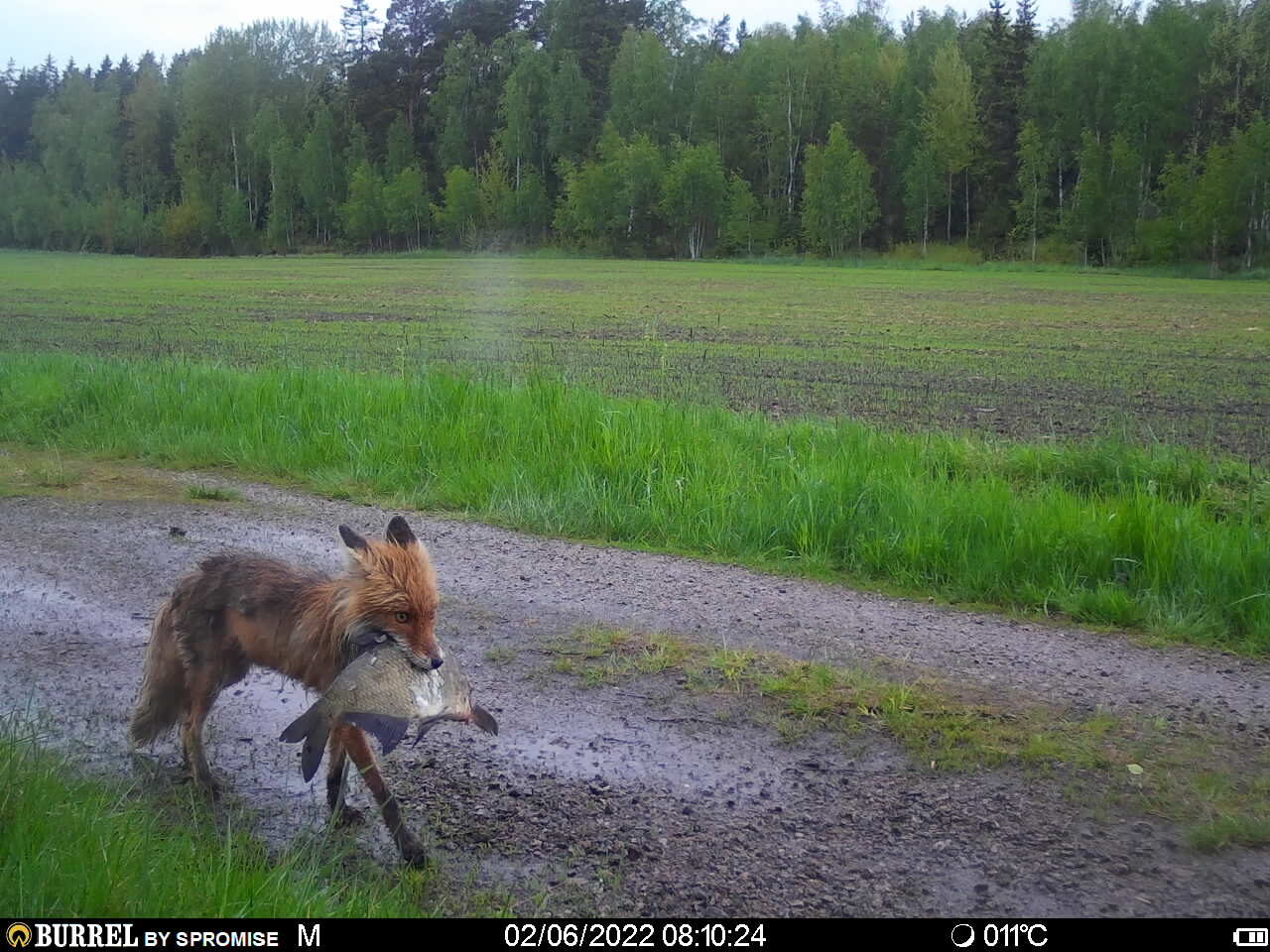 Valokuvaaja: Tuomas Penttinen