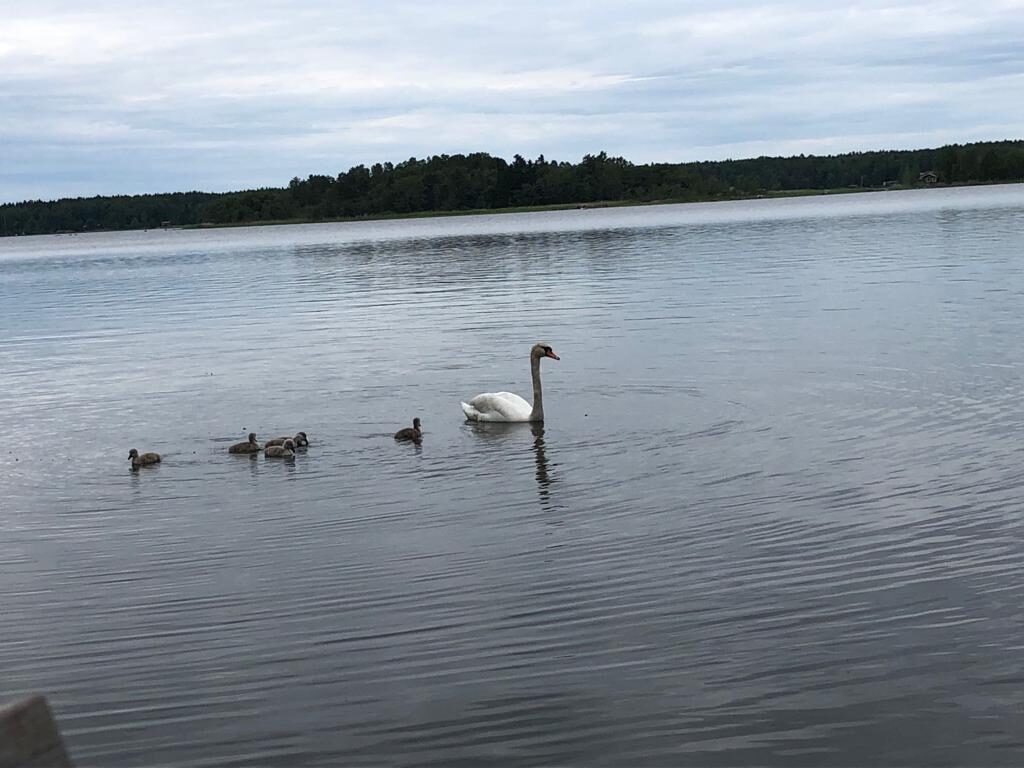 Valokuvaaja: Alvar Ilmonen