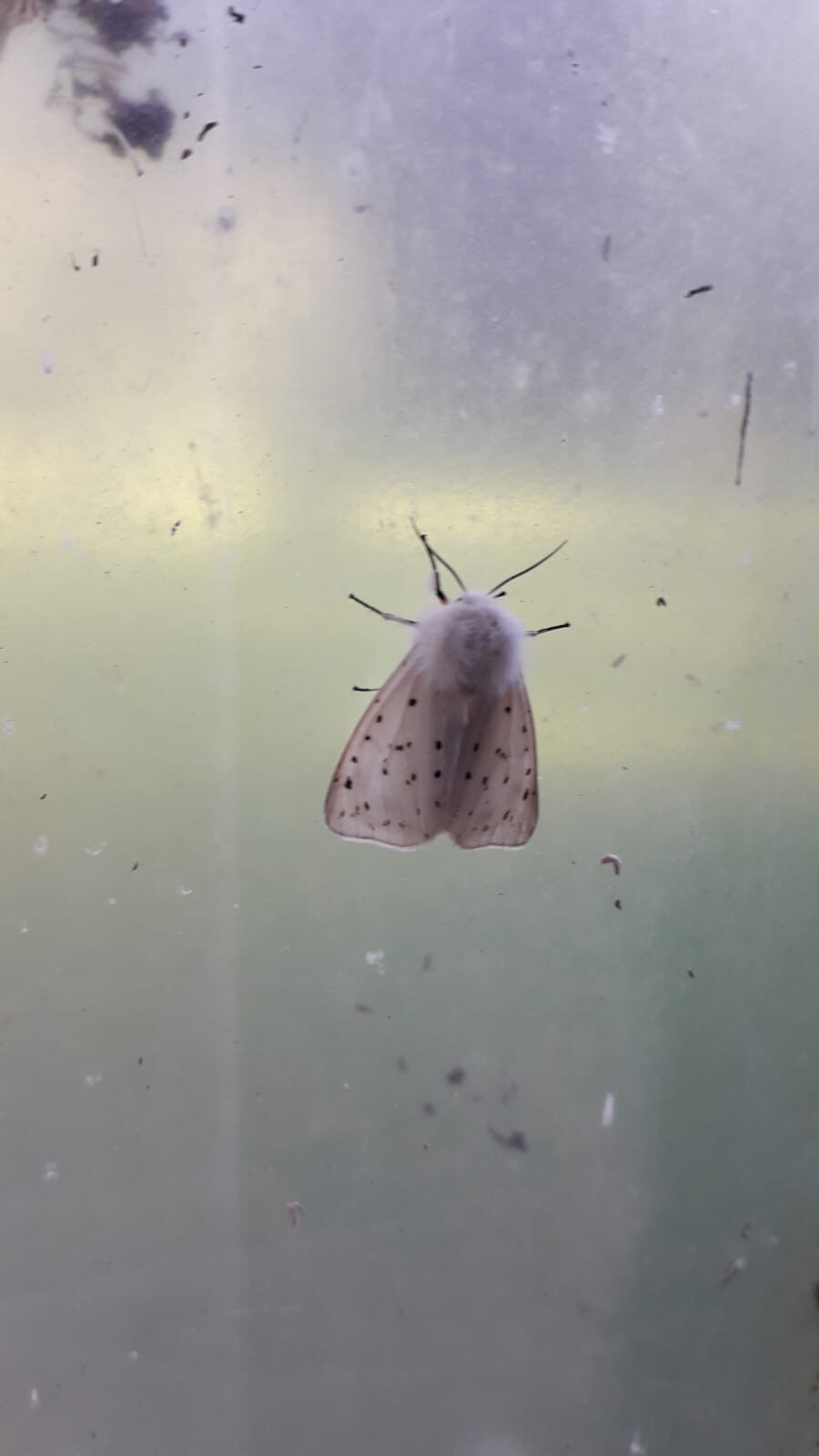 Valokuvaaja: Jari Matilainen