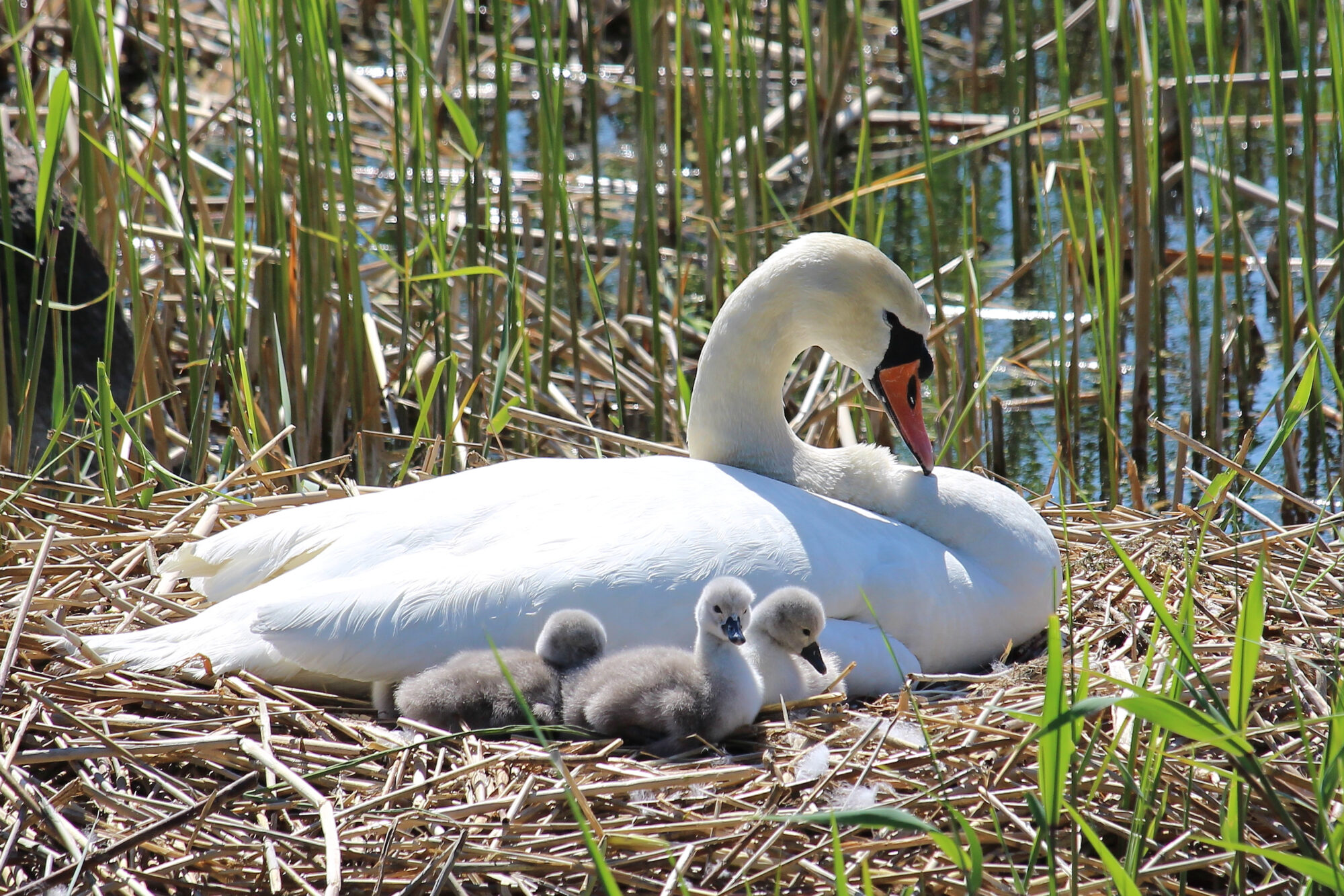 Valokuvaaja: Kirsi-Marja Joenpolvi