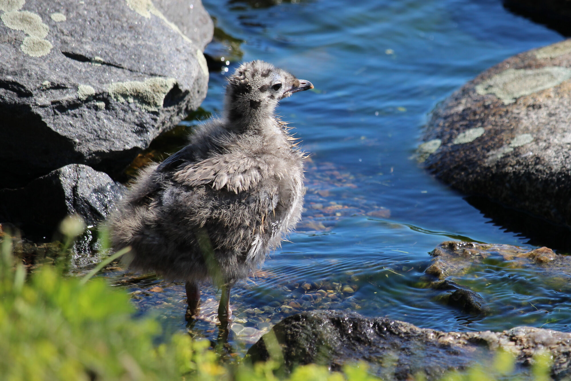 Valokuvaaja: Kirsi-Marja Joenpolvi