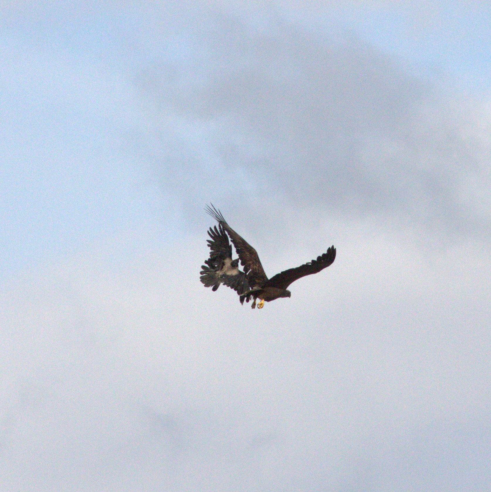 Valokuvaaja: Tapio Keinonen