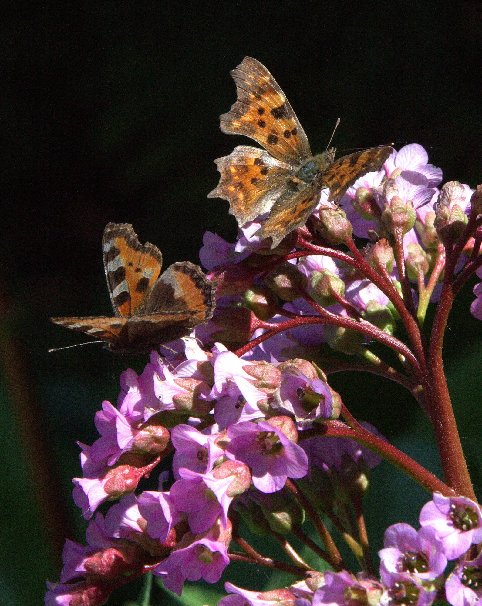 Valokuvaaja: Tapio Keinonen