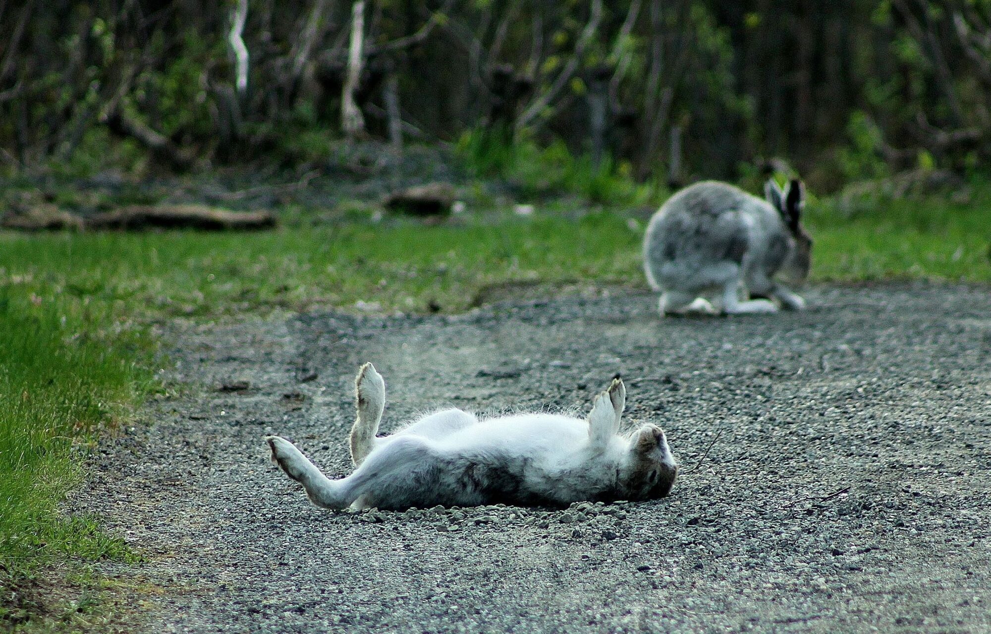 Valokuvaaja: Pirkko Siukonen