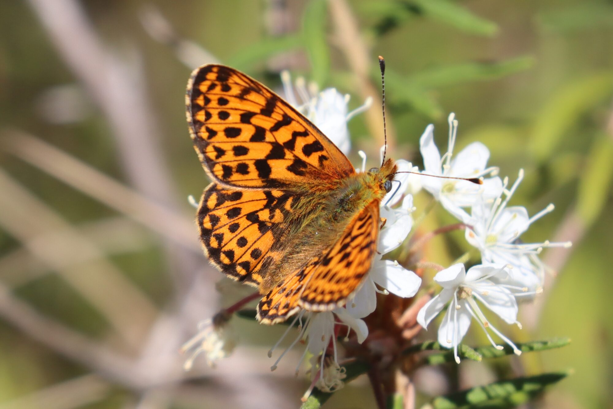 Valokuvaaja: Susanna Hannula