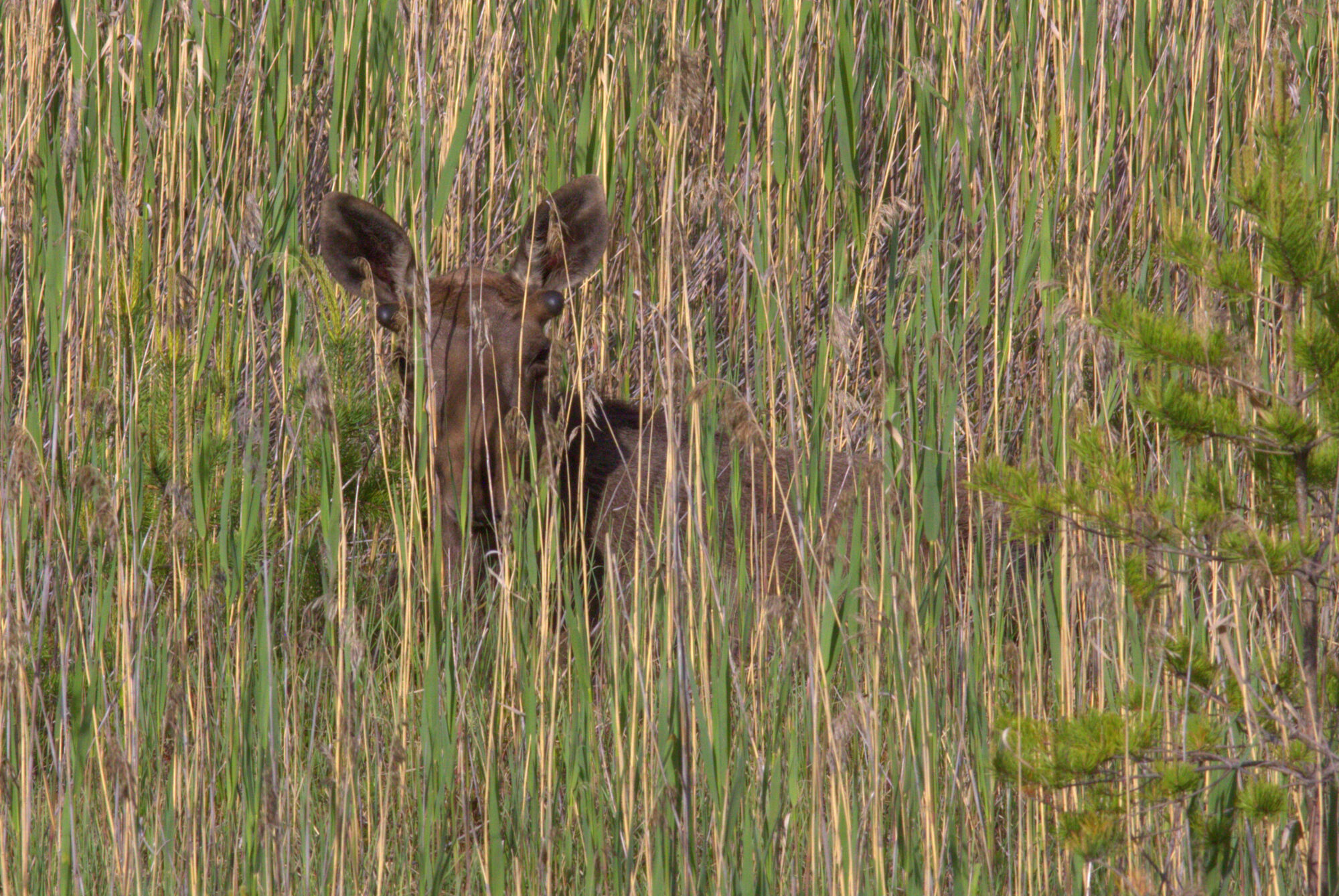 Valokuvaaja: Tapio Keinonen