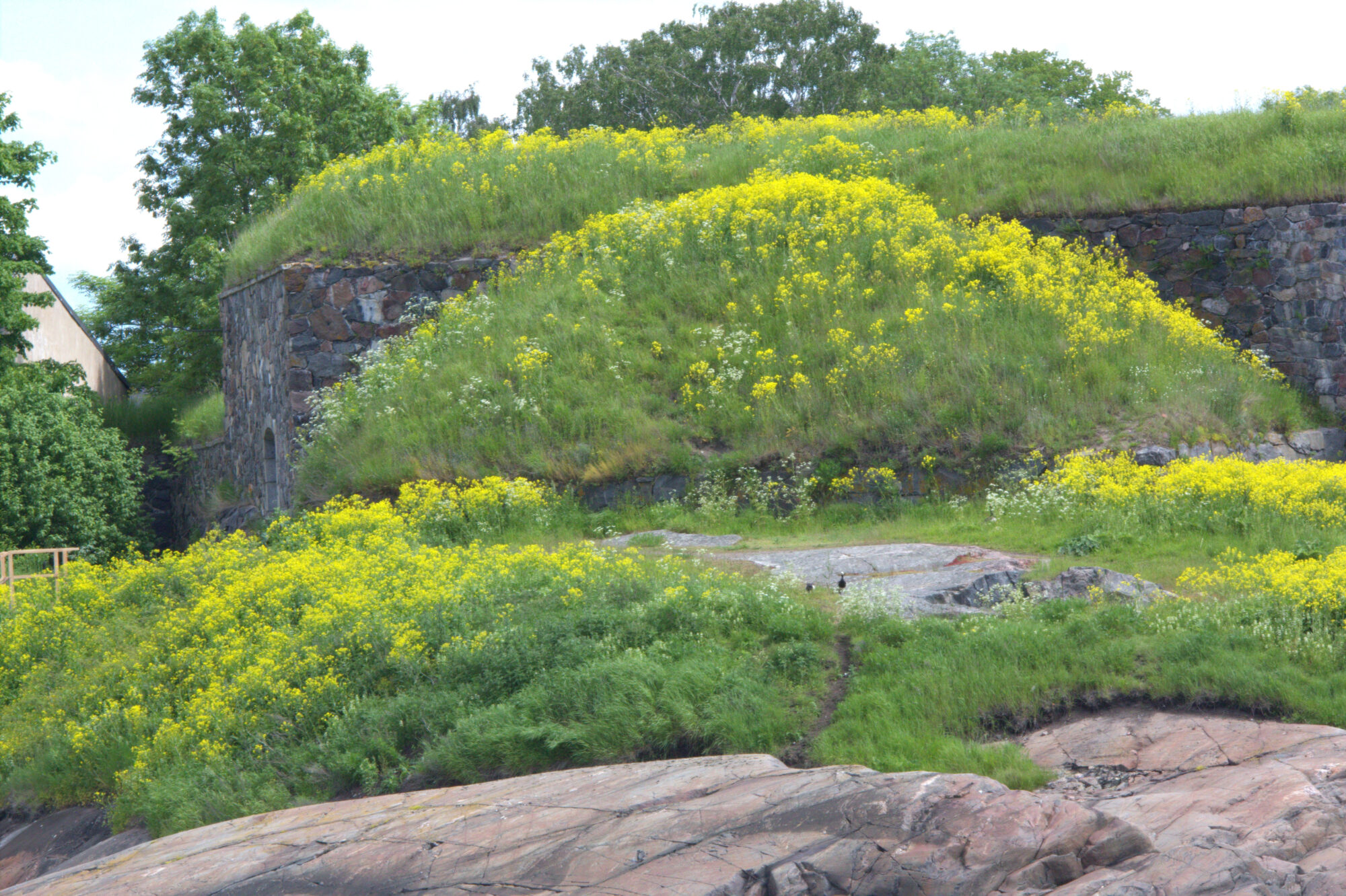 Valokuvaaja: Tapio Keinonen