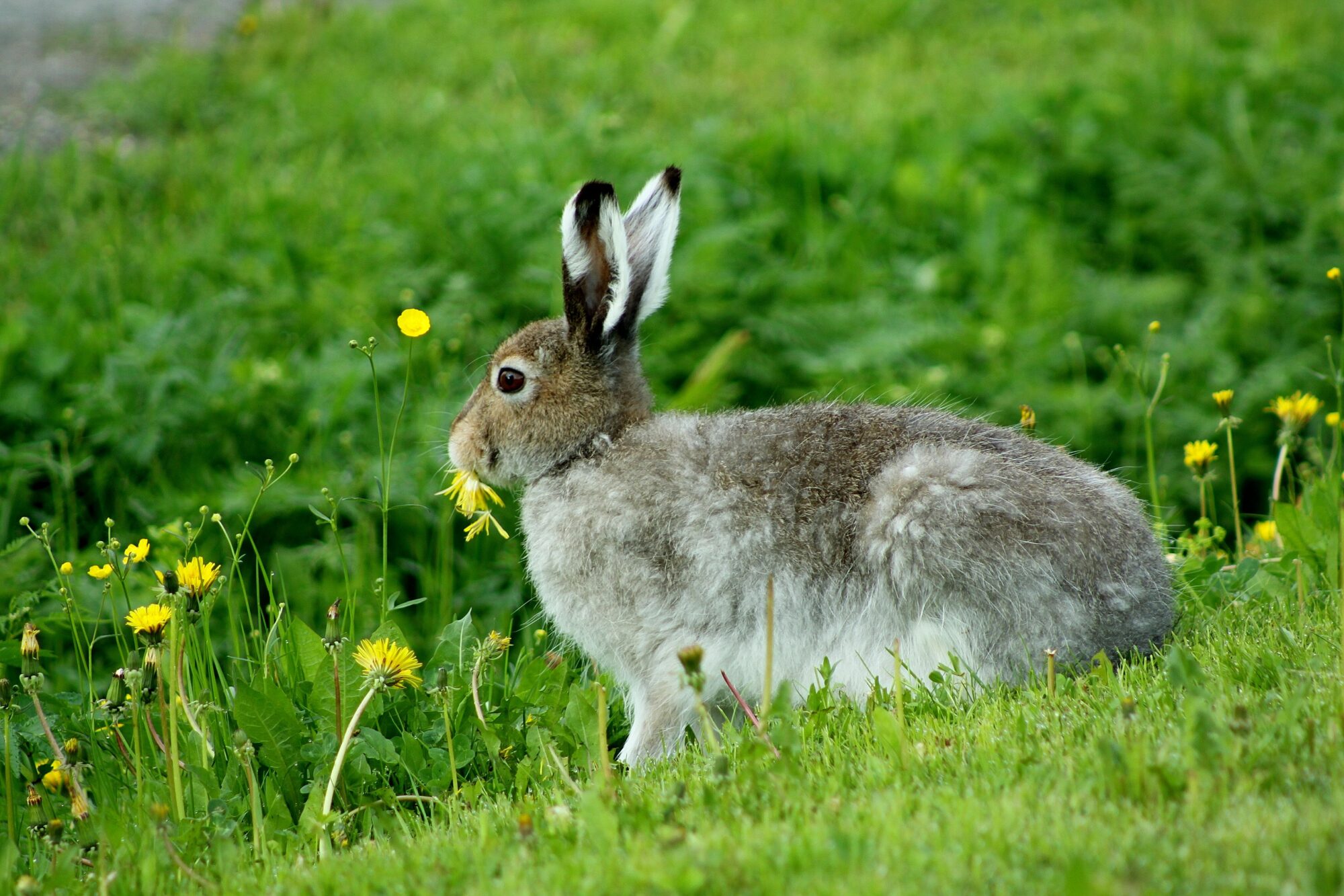 Valokuvaaja: Pirkko Siukonen