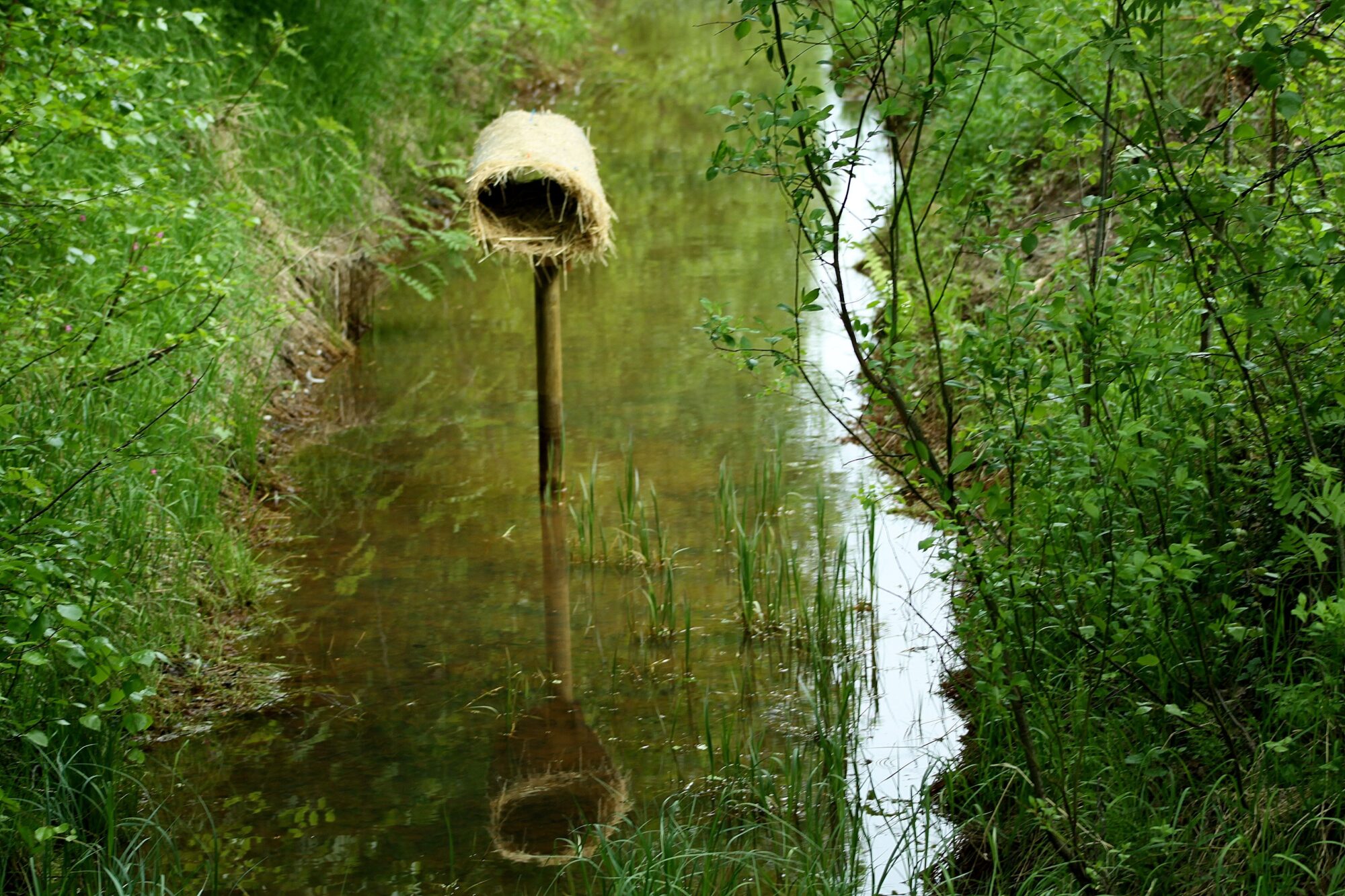 Valokuvaaja: Pirkko Siukonen Valokuvaaja: Pirkko Siukonen