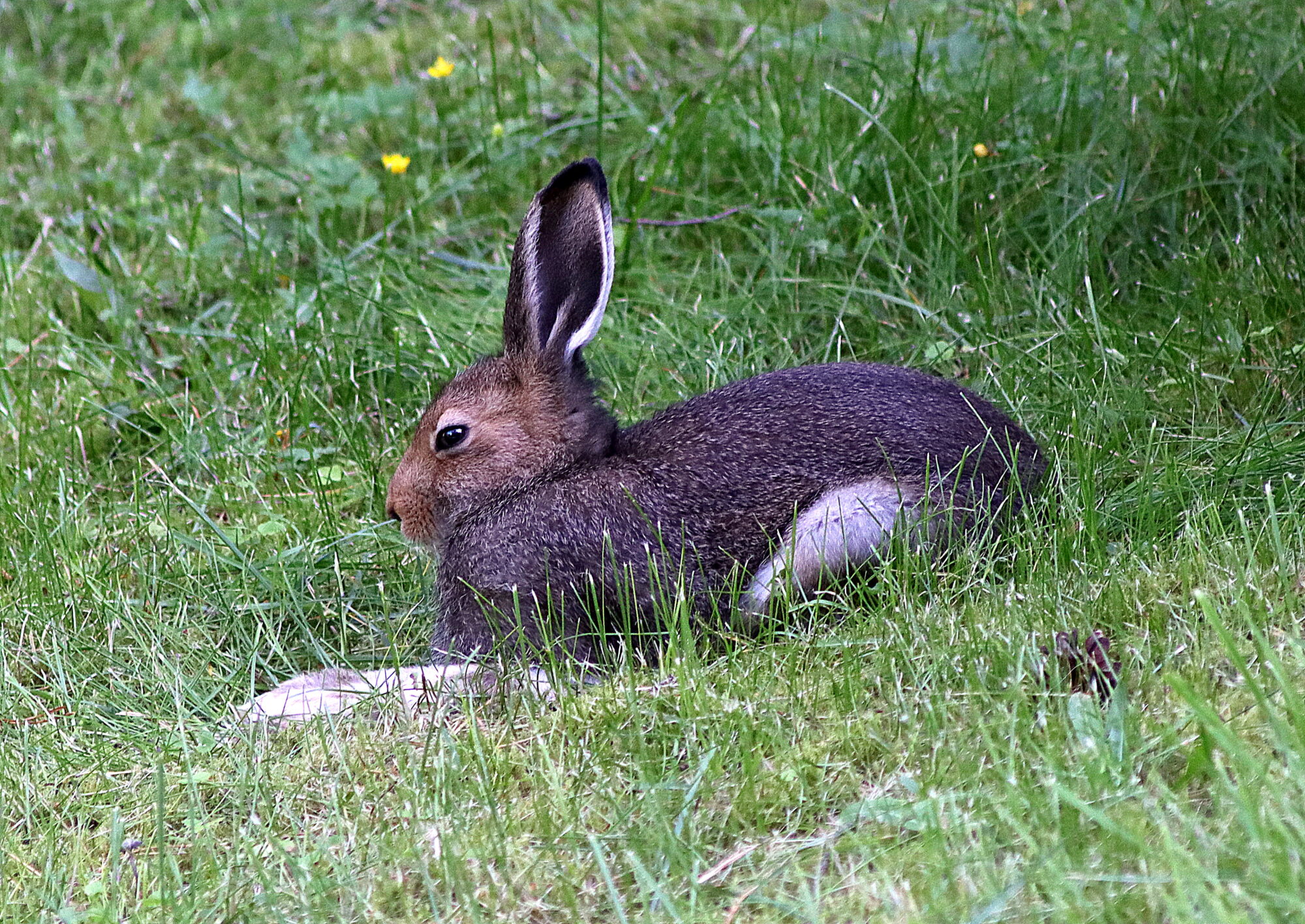 Valokuvaaja: Hannu Rasiranta