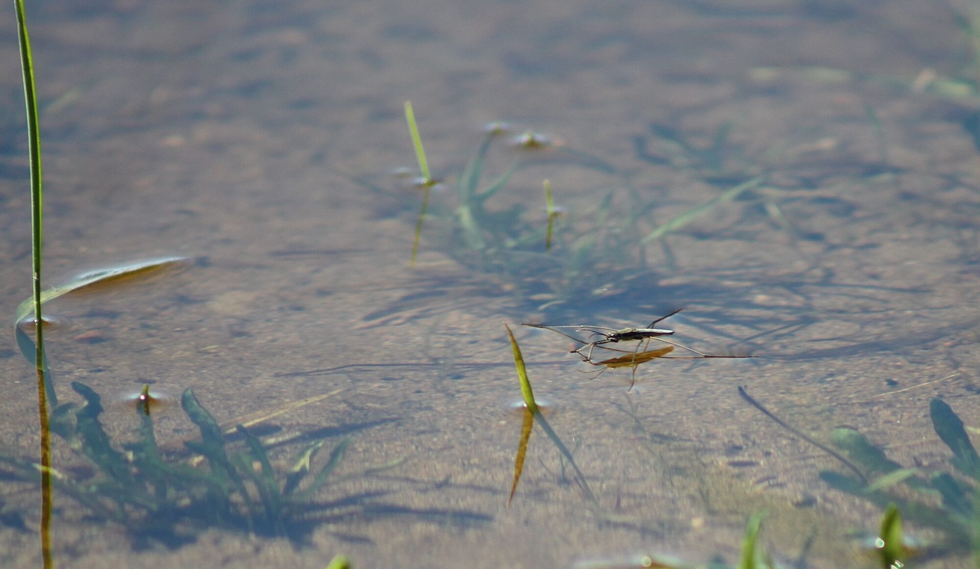 Valokuvaaja: Pirkko Siukonen
