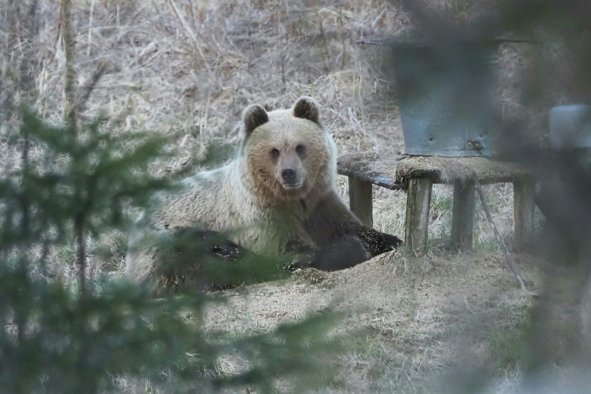 Valokuvaaja: Mikkola Irma