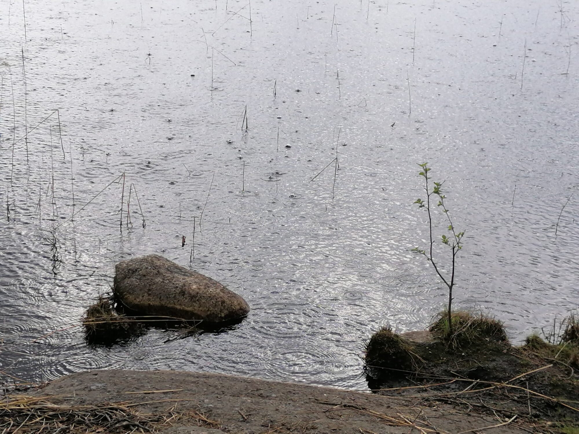 Valokuvaaja: Kaija Halonen