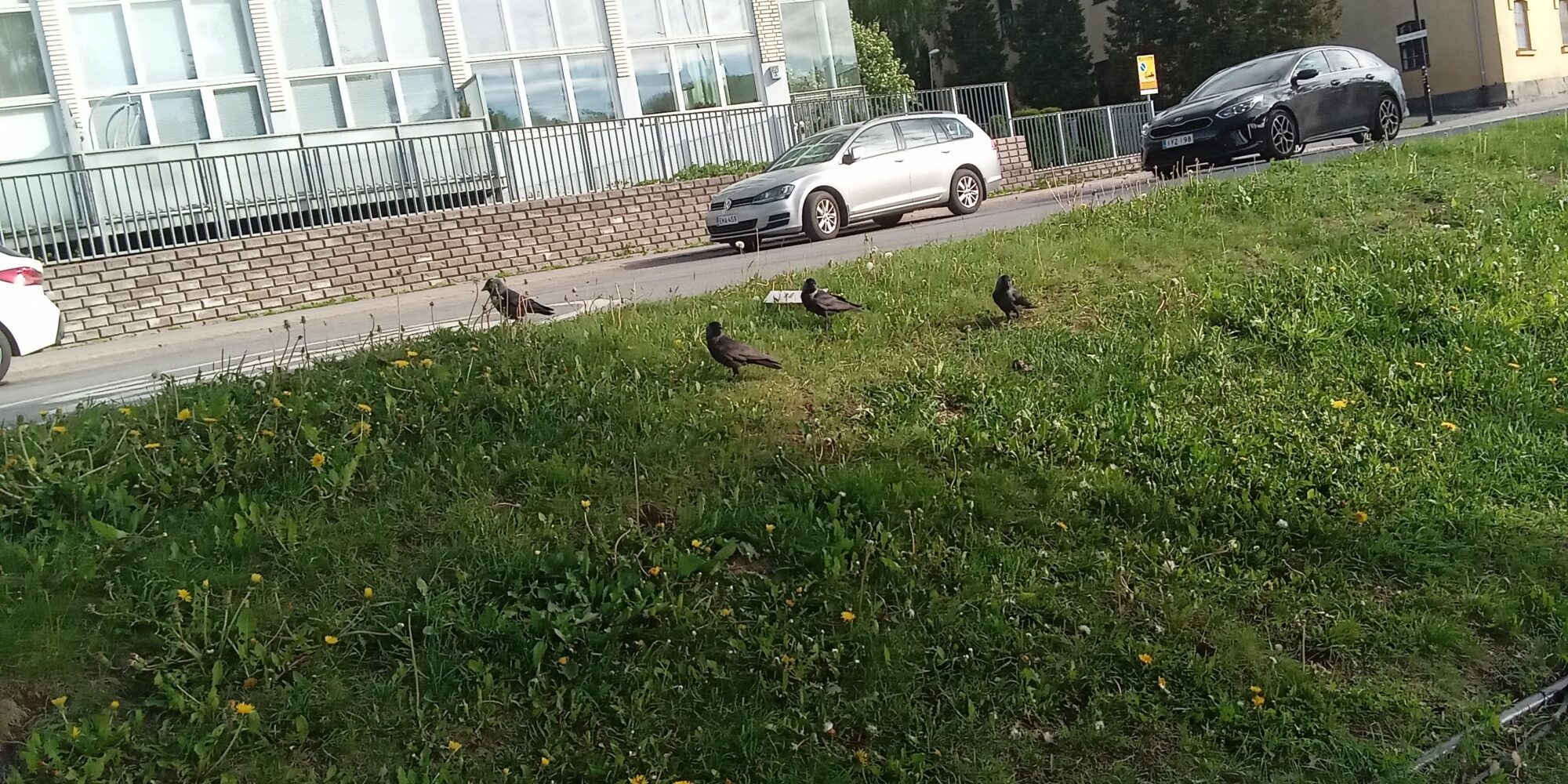 Valokuvaaja: Alvar Ilmonen