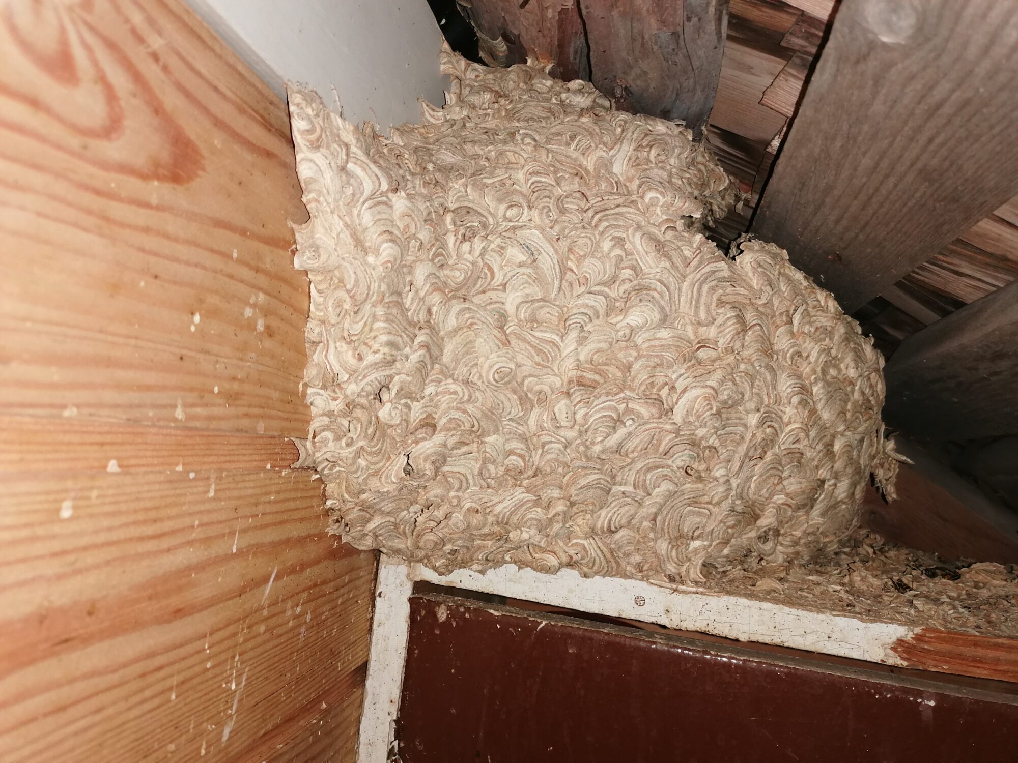 Valokuvaaja: Matti Nummela