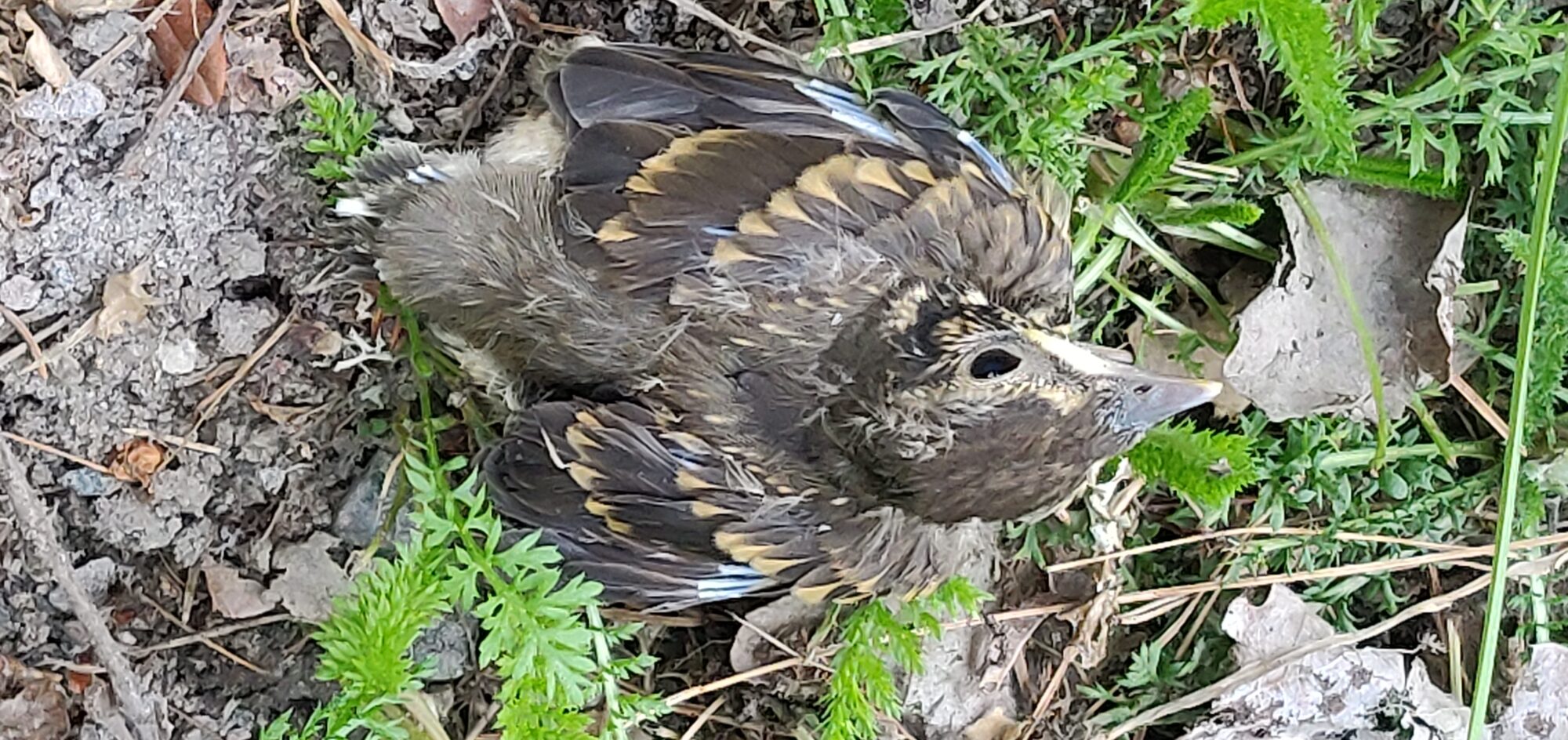 Valokuvaaja: Minna Sukkinen