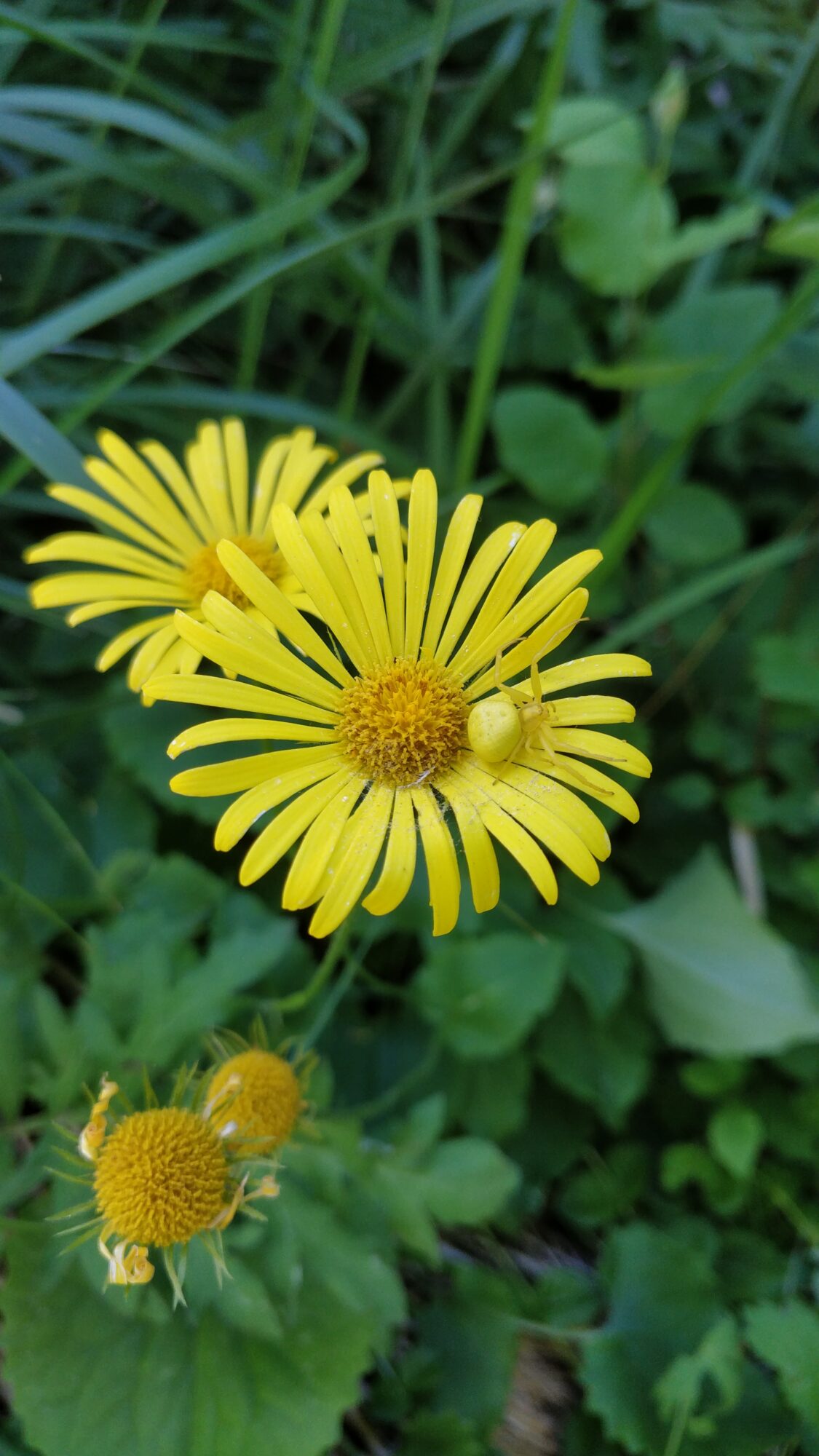 Valokuvaaja: Miia Salo