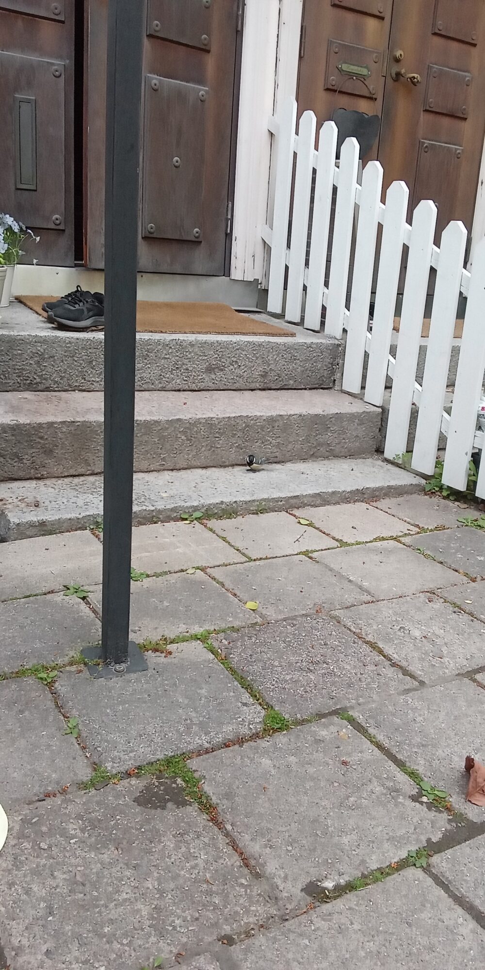 Valokuvaaja: Alvar Ilmonen Valokuvaaja: Alvar Ilmonen