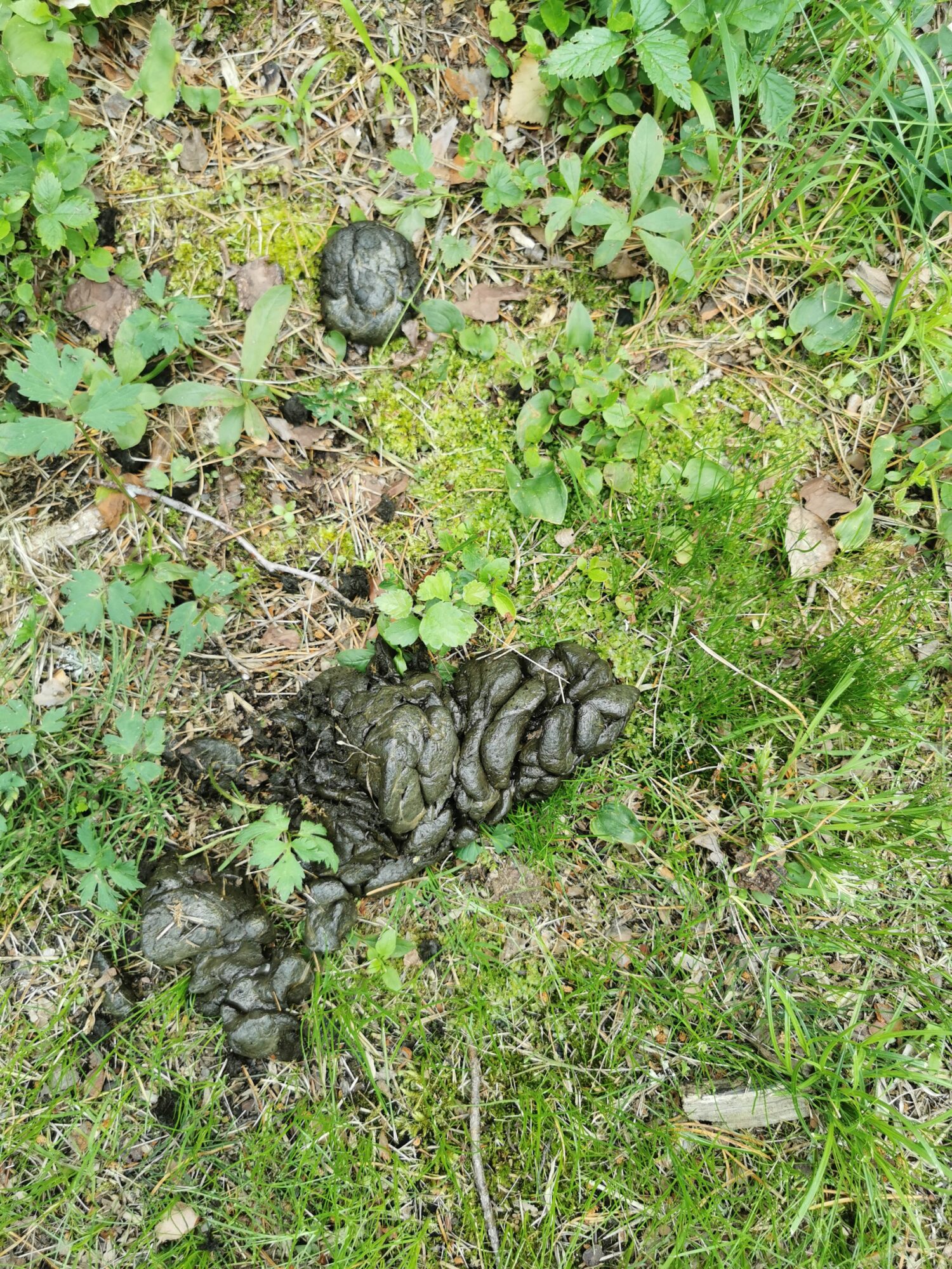 Valokuvaaja: Sirpa Luhta Valokuvaaja: Sirpa Luhta