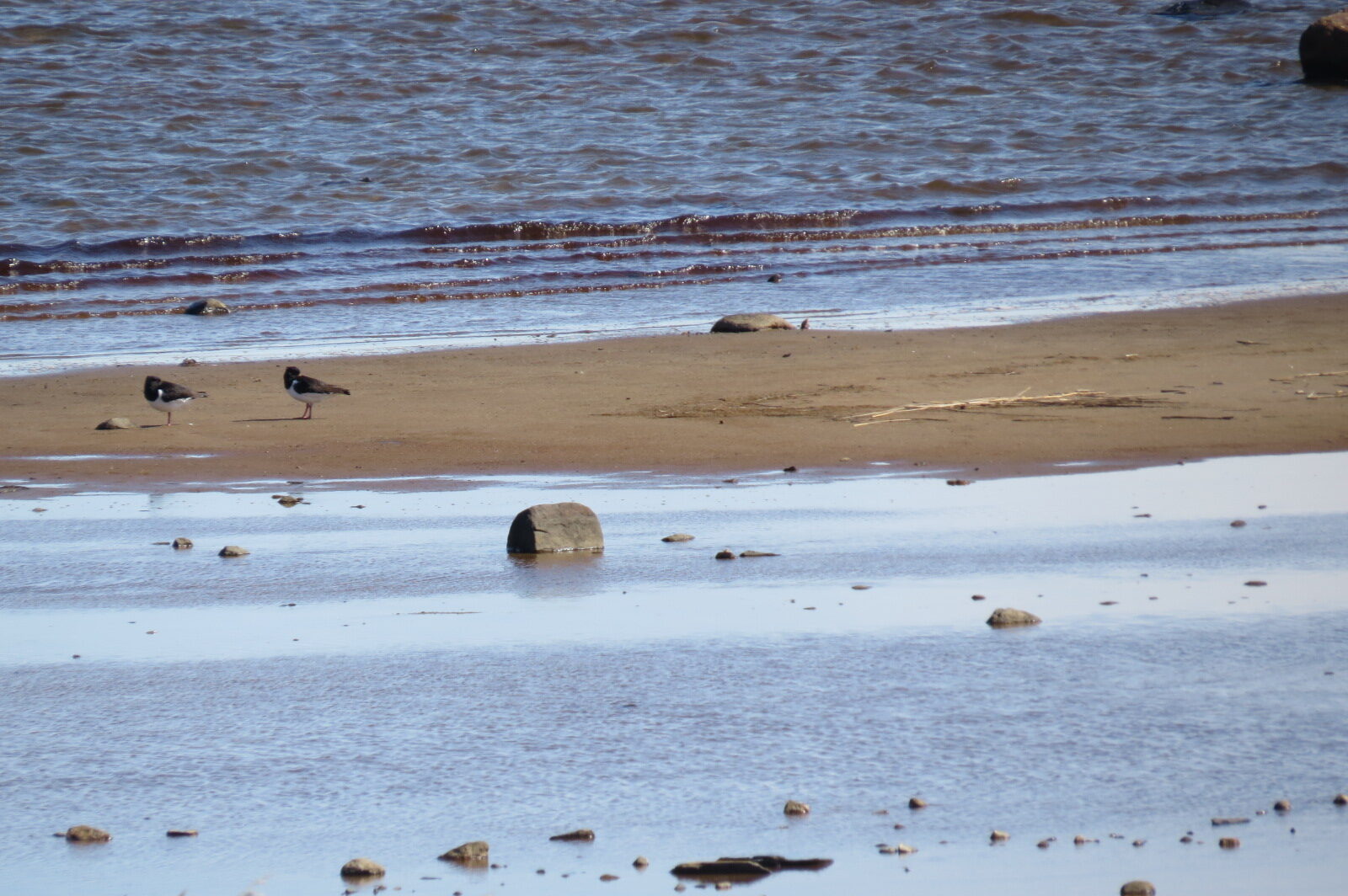 Valokuvaaja: Henriikka