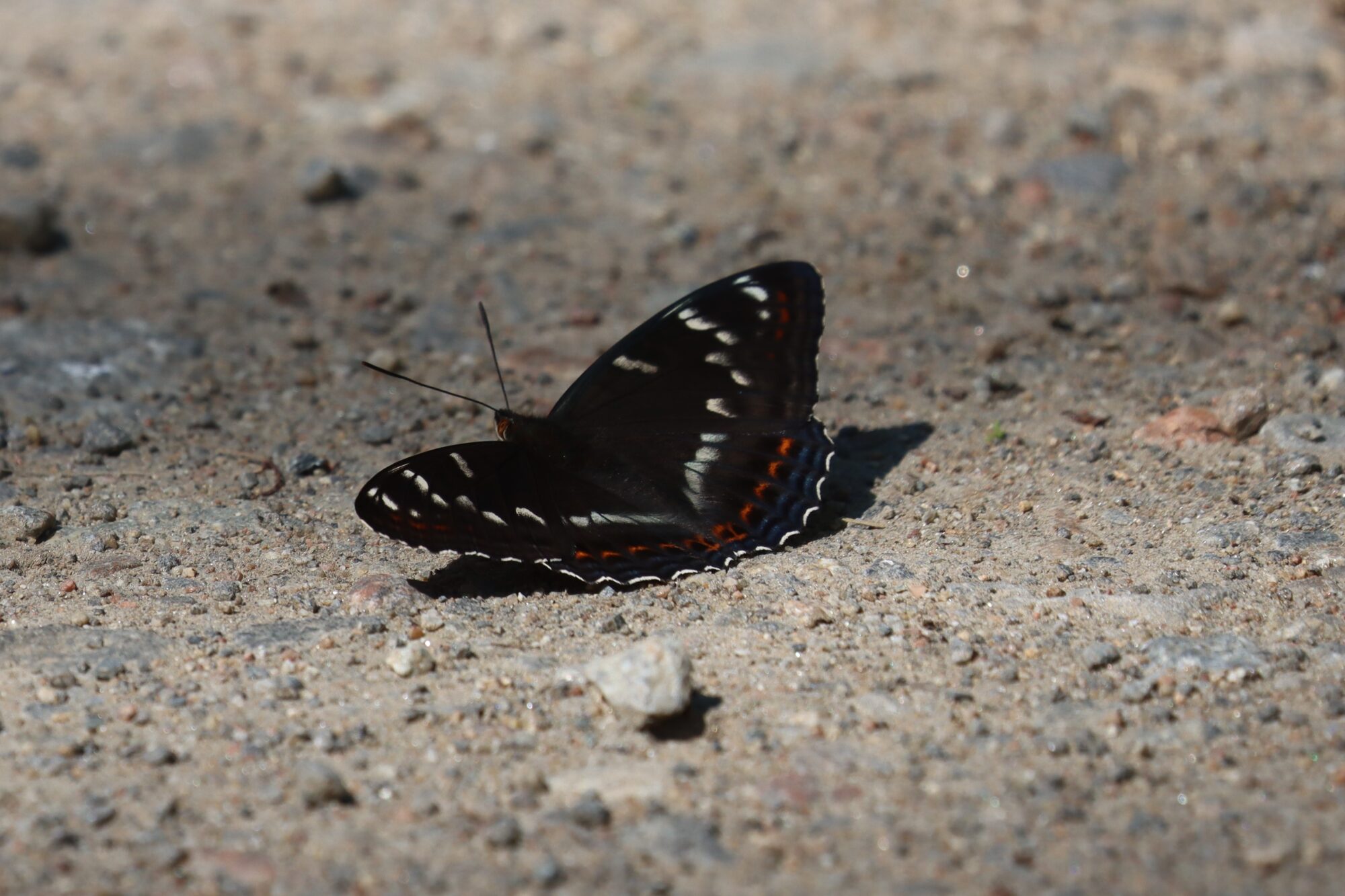 Valokuvaaja: Susanna Hannula