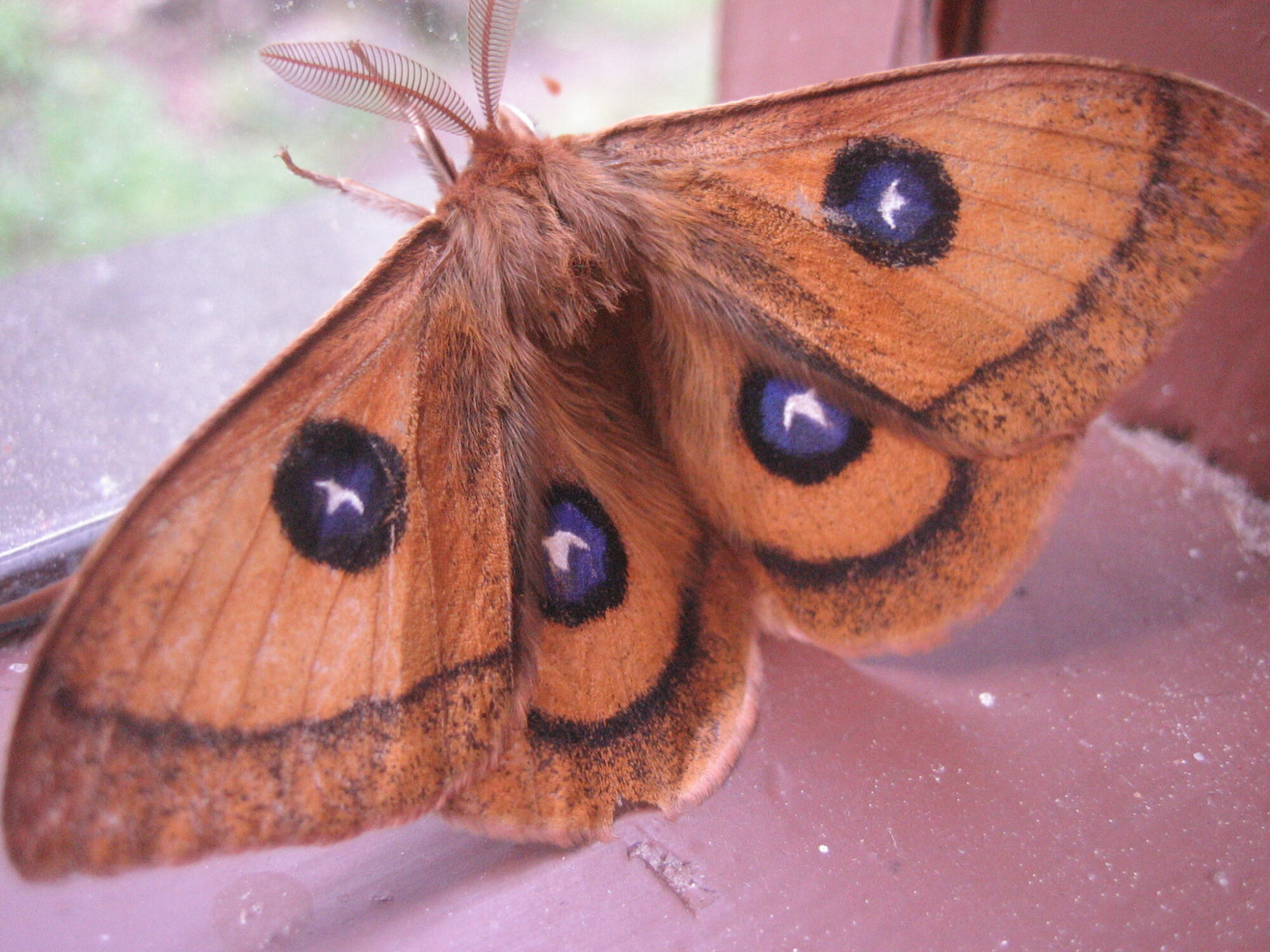 Valokuvaaja: Reijo Virta