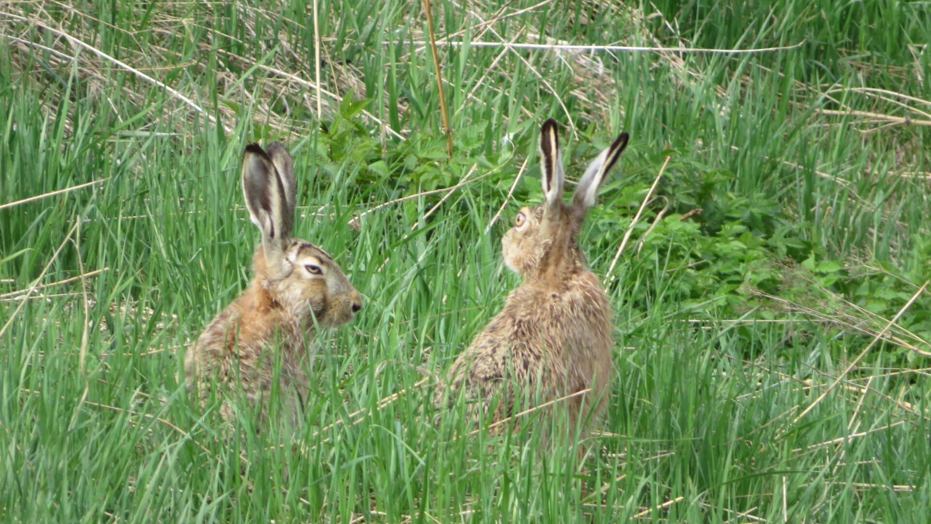 Valokuvaaja: Risto Kangassalo