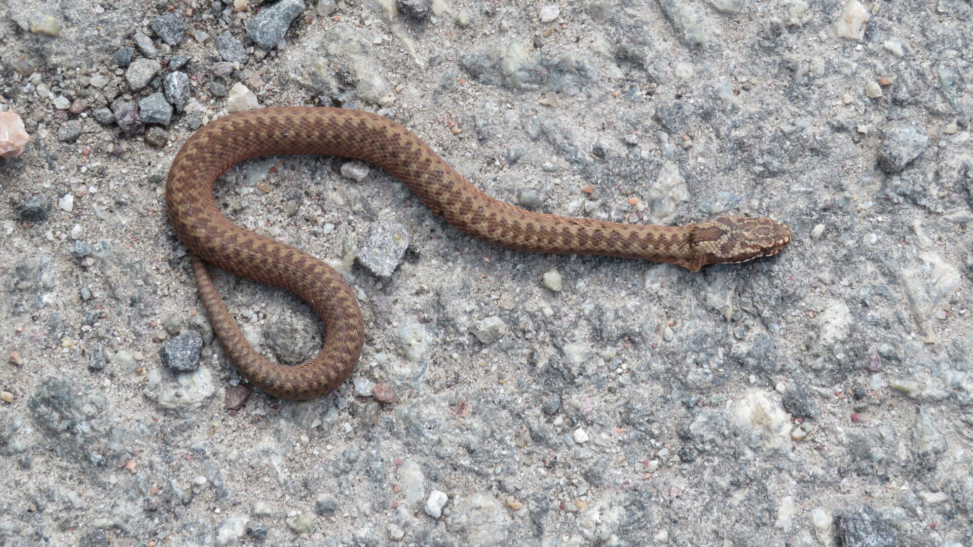 Valokuvaaja: Risto Kangassalo