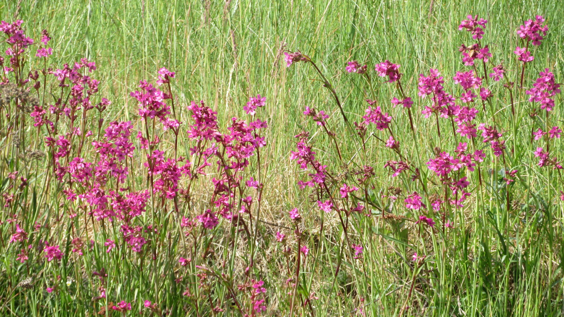 Valokuvaaja: Risto Kangassalo