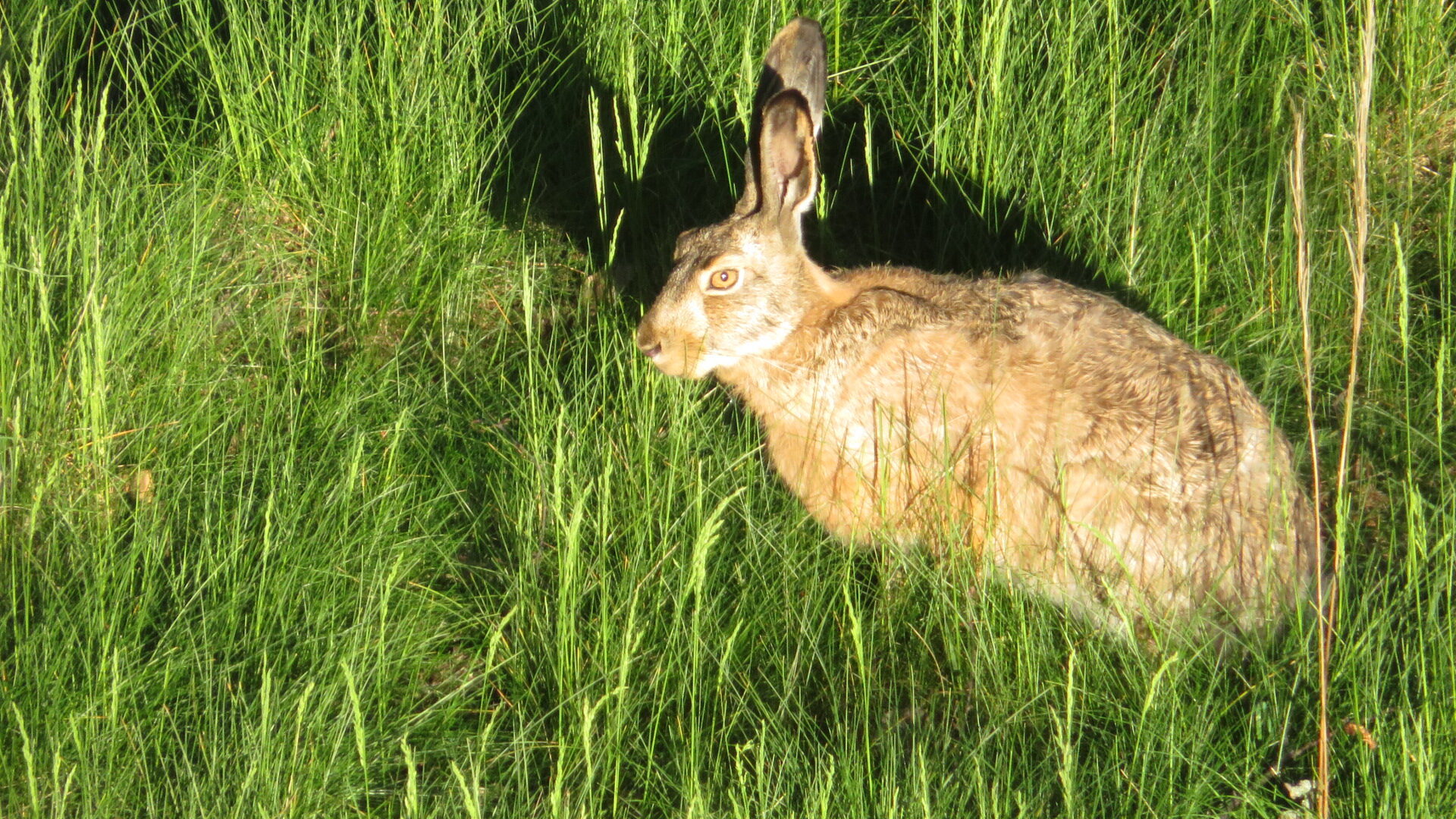 Valokuvaaja: Risto Kangassalo