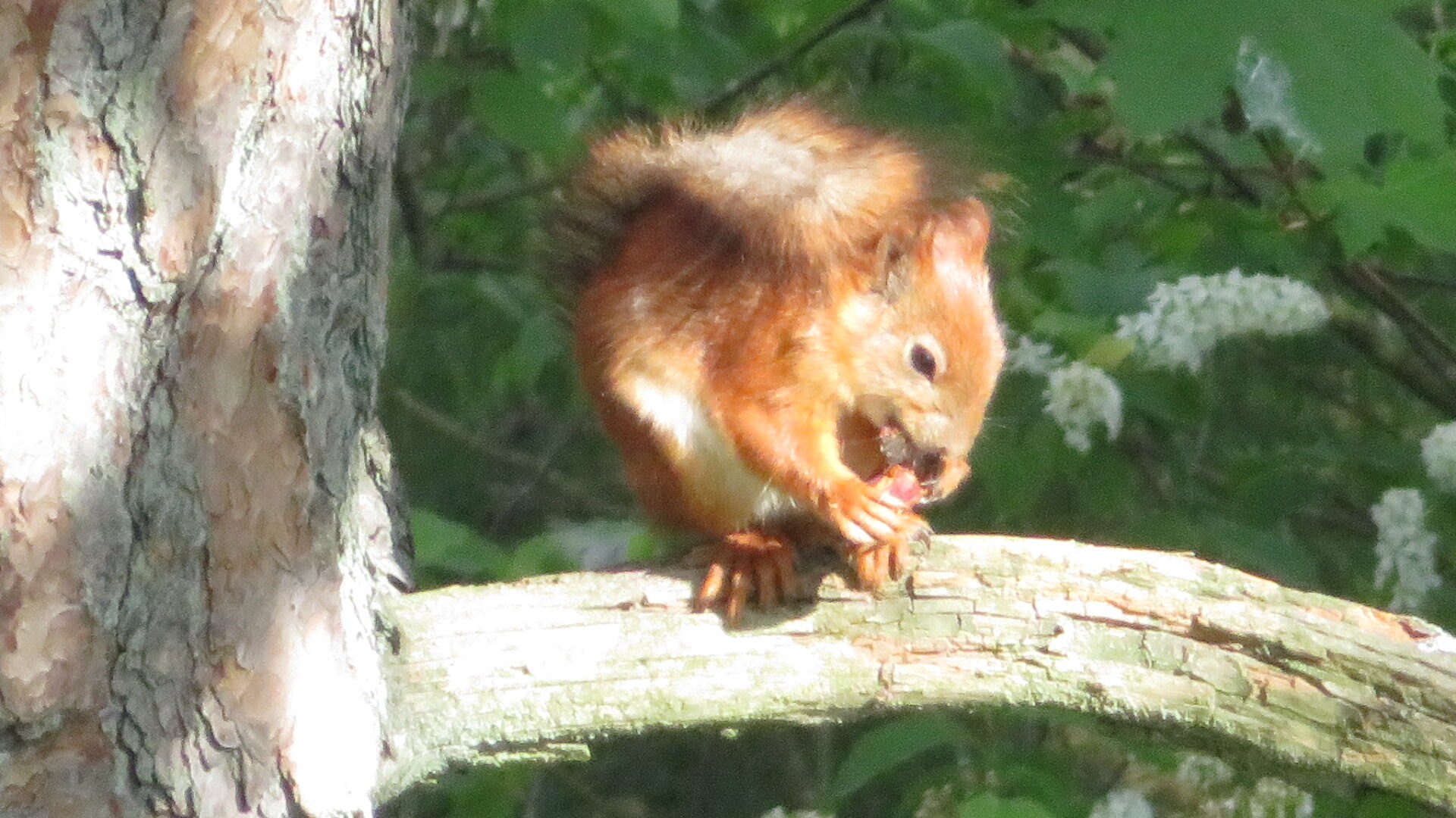 Valokuvaaja: Risto Kangassalo