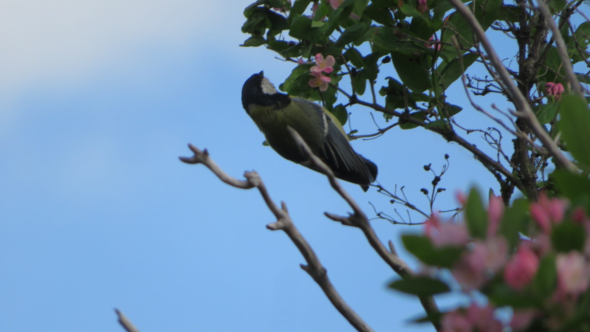 Valokuvaaja: Risto Kangassalo