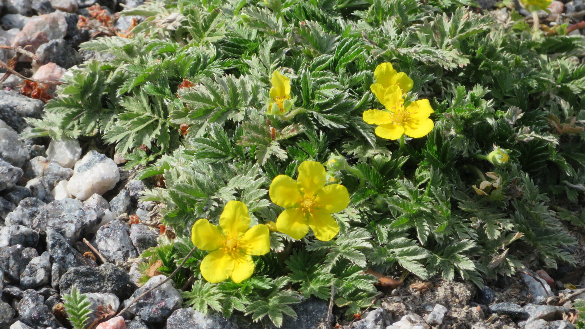 Valokuvaaja: Risto Kangassalo