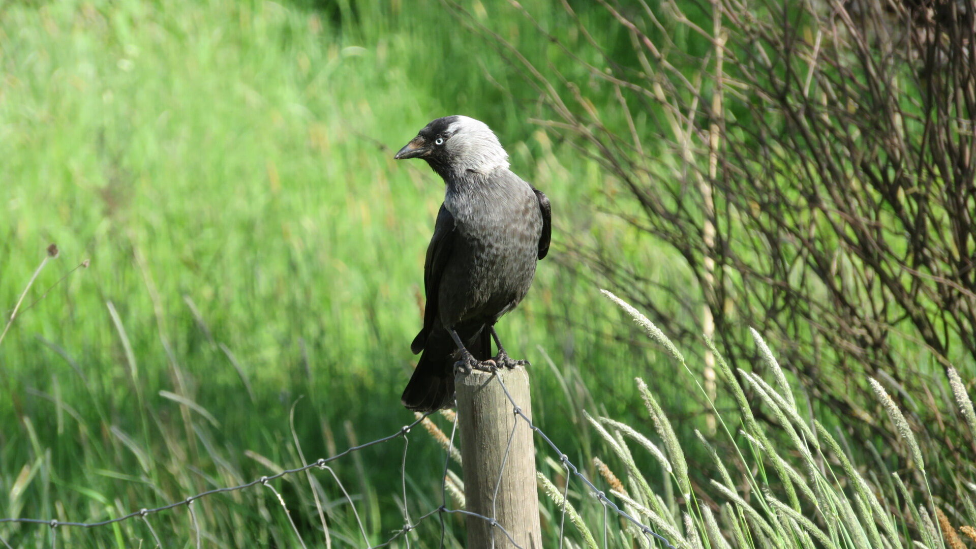 Valokuvaaja: Risto Kangassalo