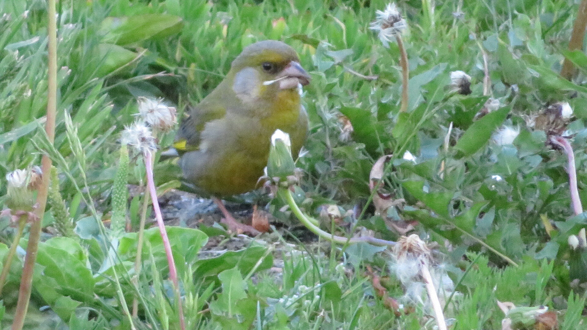 Valokuvaaja: Risto Kangassalo