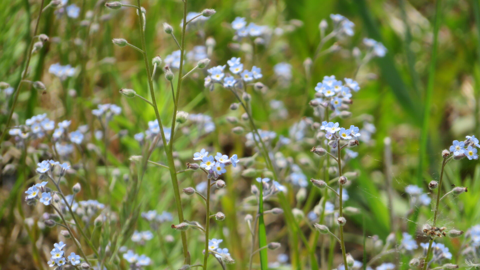 Valokuvaaja: Risto Kangassalo Valokuvaaja: Risto Kangassalo