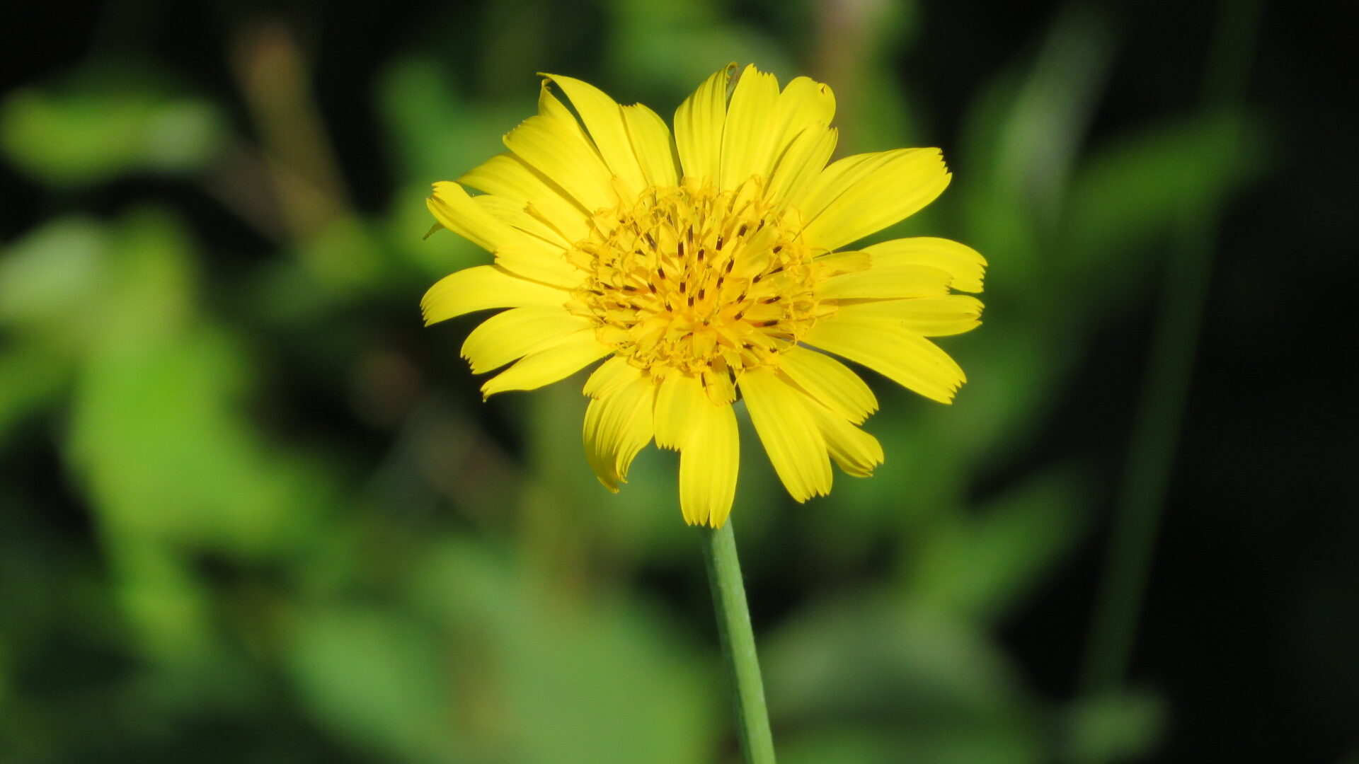 Valokuvaaja: Risto Kangassalo