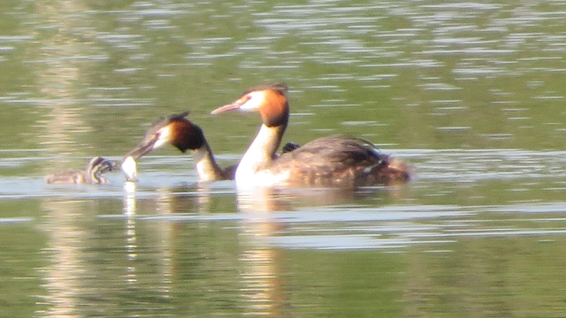 Valokuvaaja: Risto Kangassalo