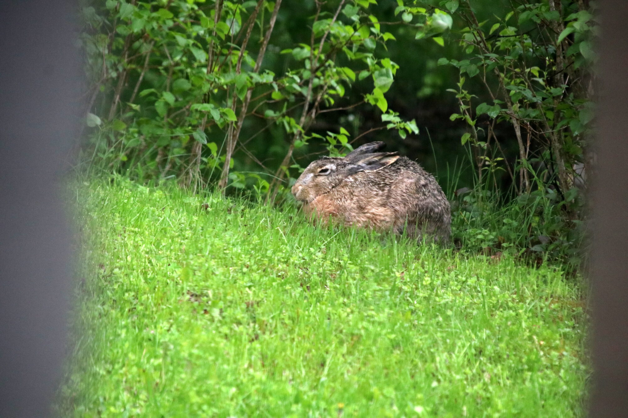 Valokuvaaja: Helena Sytelä