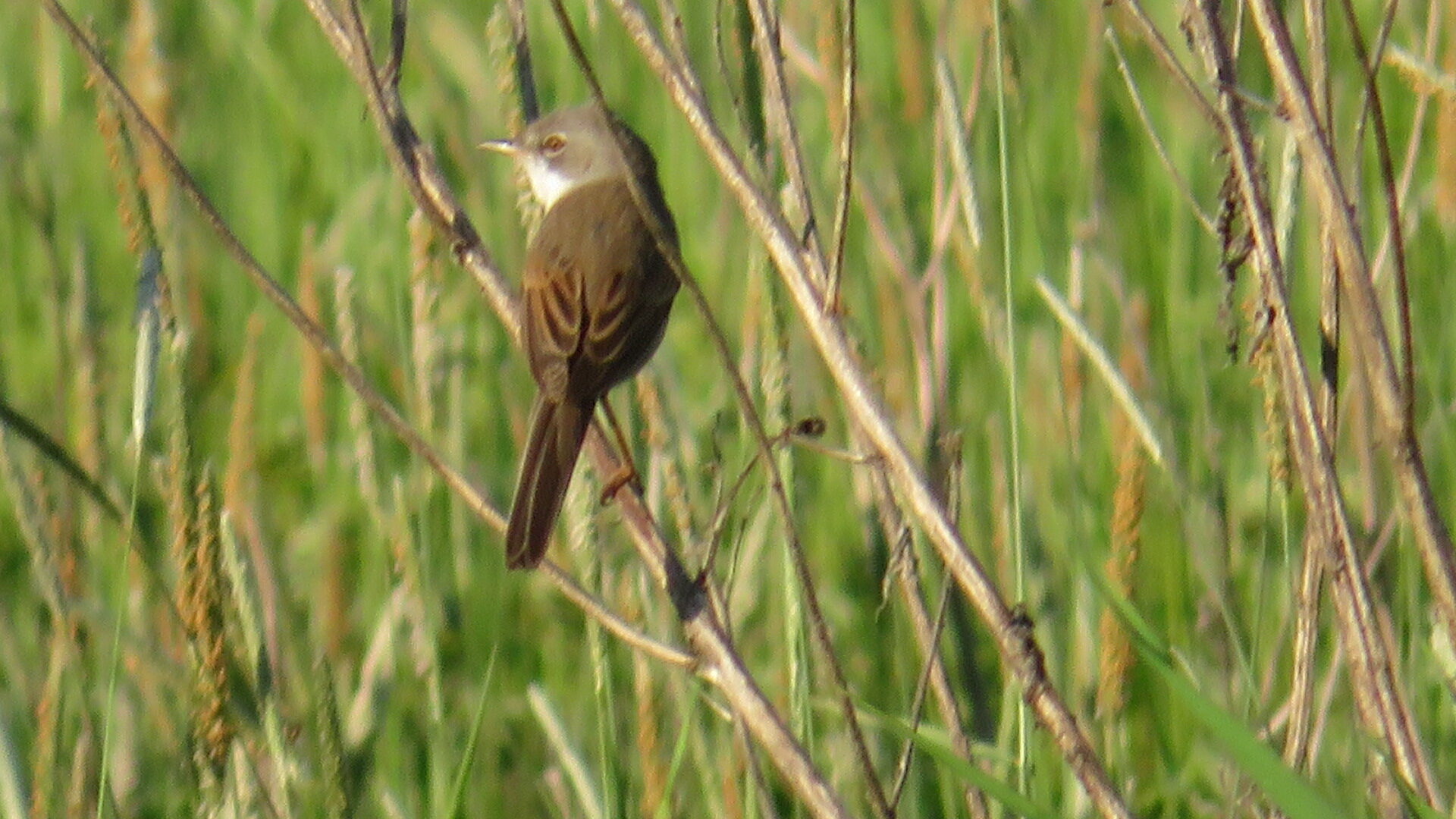 Valokuvaaja: Risto Kangassalo