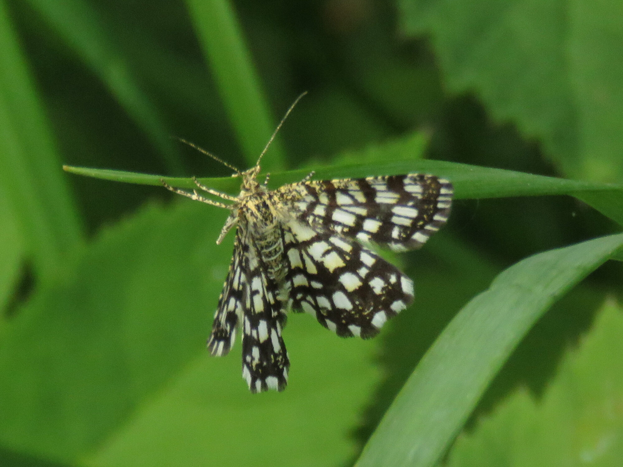 Valokuvaaja: Liisa Johansson