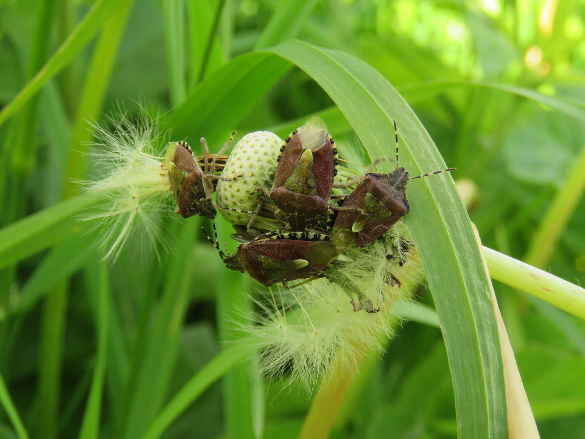 Valokuvaaja: Liisa Johansson Valokuvaaja: Liisa Johansson