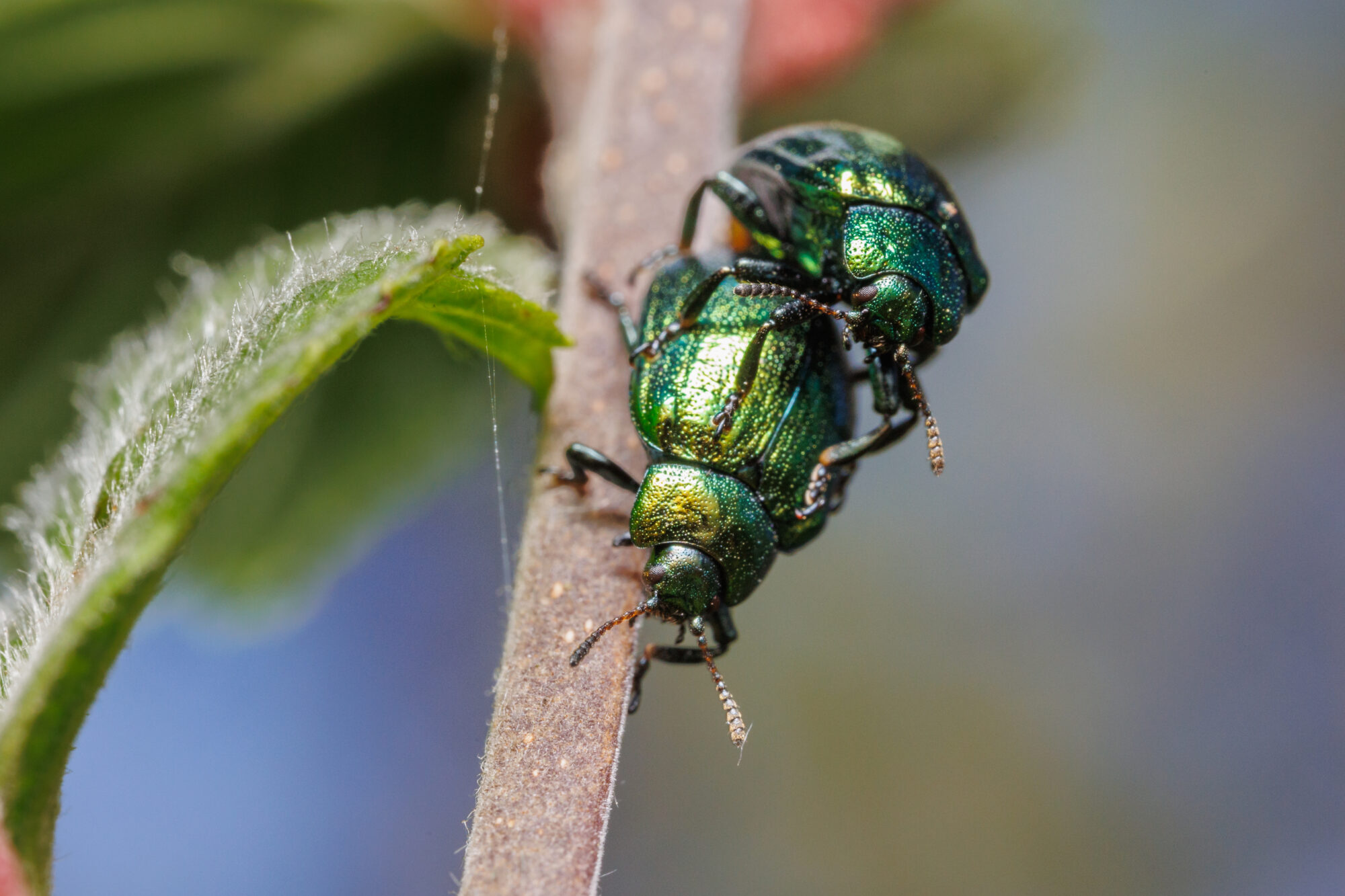 Valokuvaaja: Tommi Kujala