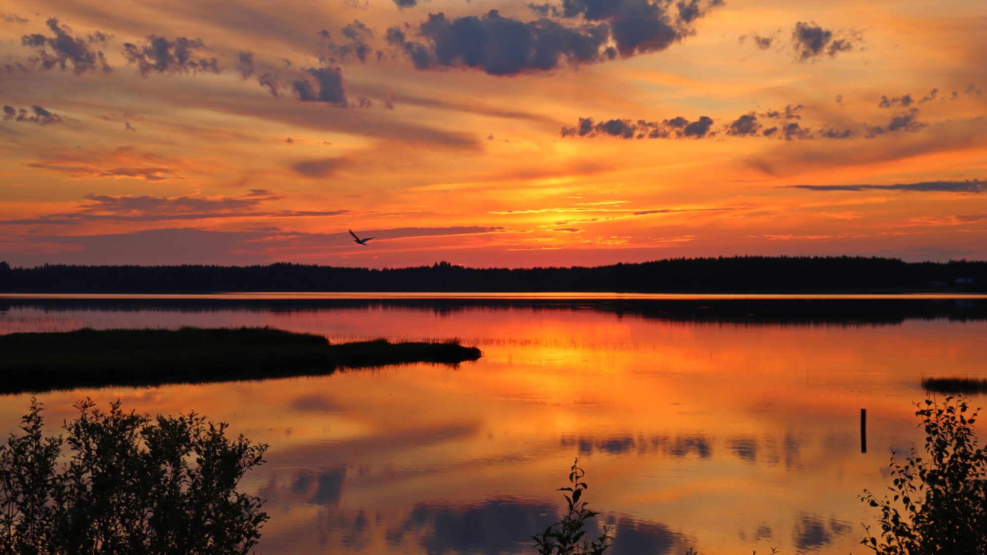 Valokuvaaja: SINIKKA KUJALA