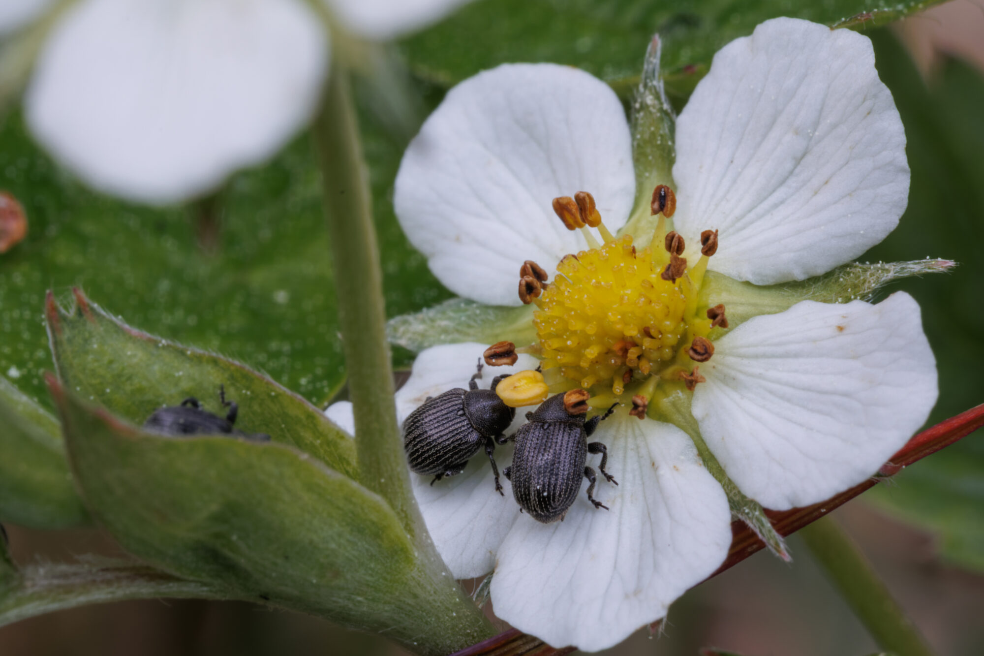 Valokuvaaja: Tommi Kujala
