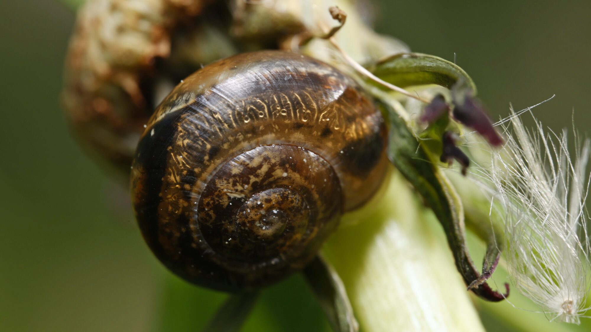 Valokuvaaja: Tommi Kujala