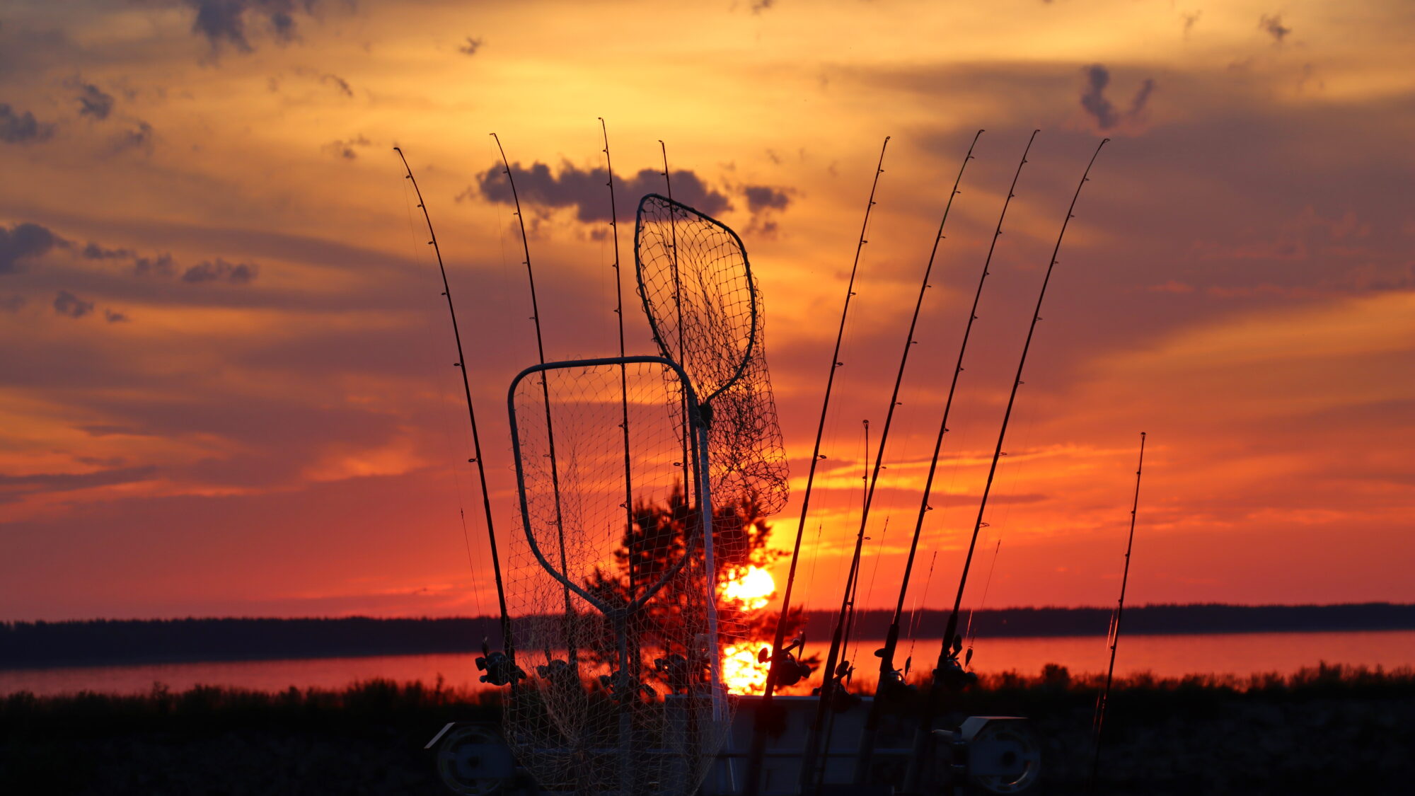 Valokuvaaja: SINIKKA KUJALA