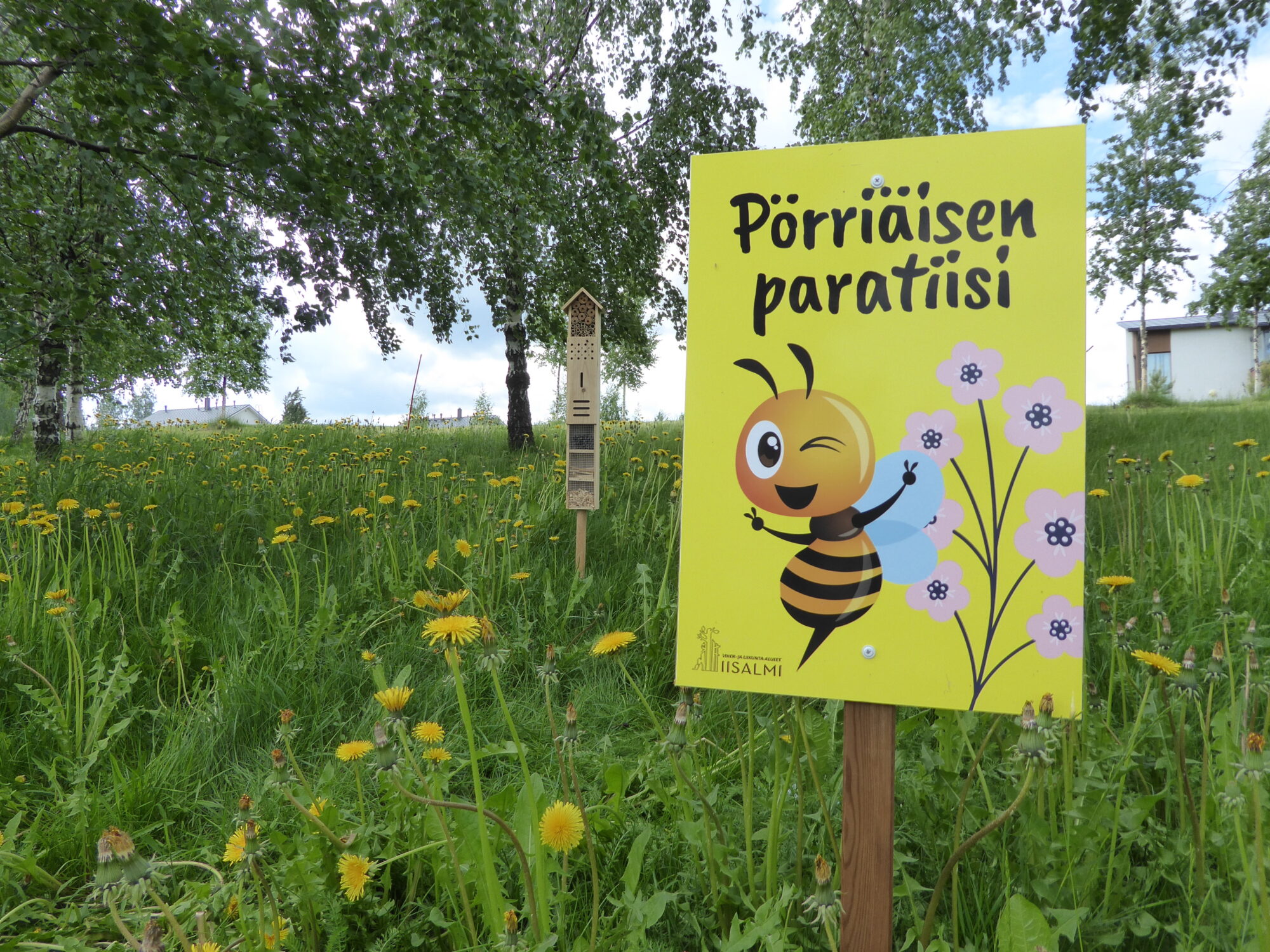 Valokuvaaja: Toni Asikainen Valokuvaaja: Toni Asikainen
