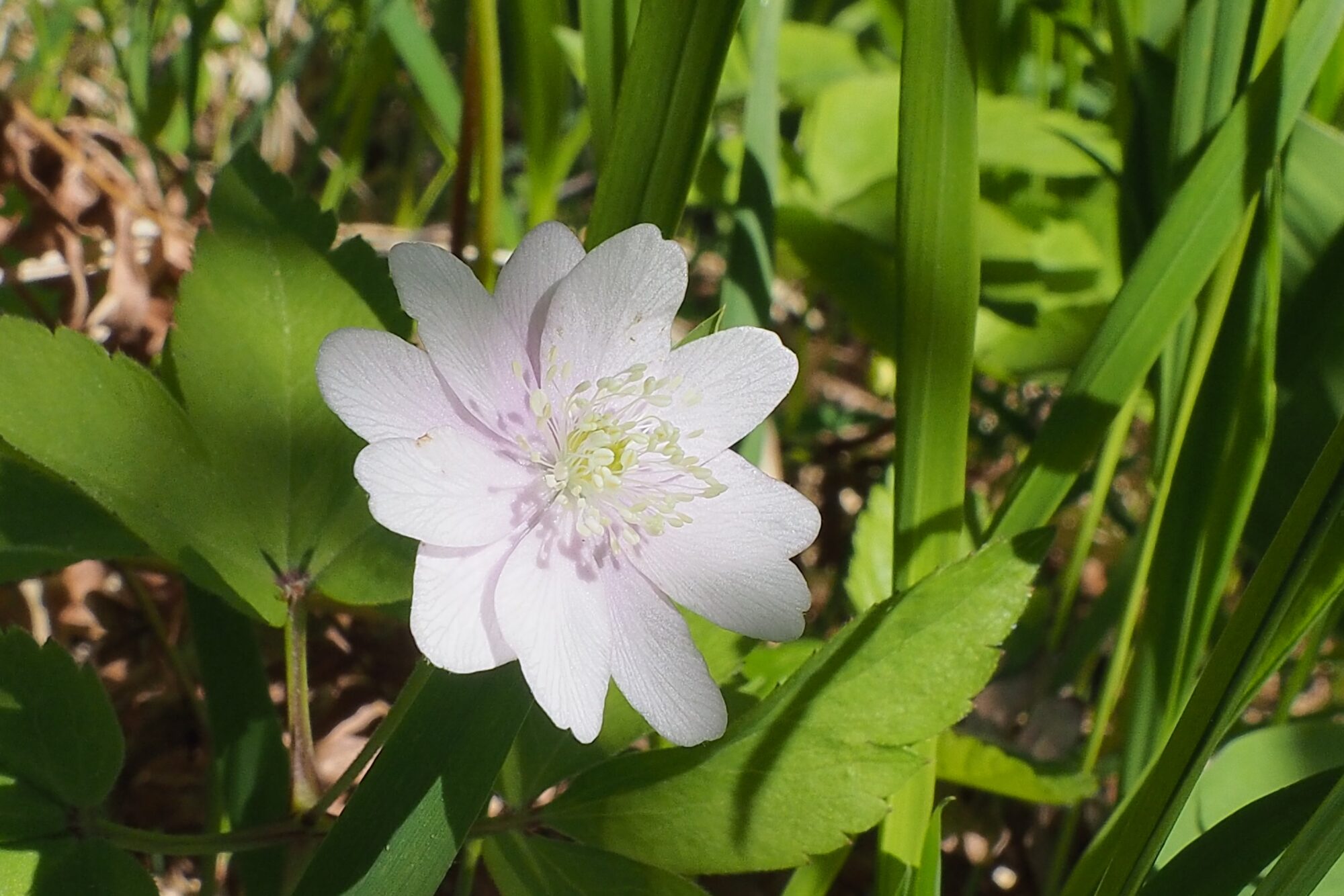 Valokuvaaja: Martti Valtonen